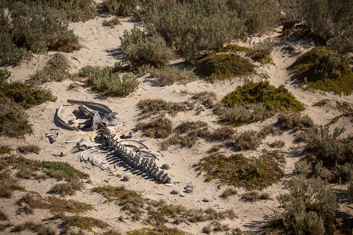 Kangaroo Island Blog Images (56 of 64).jpg
