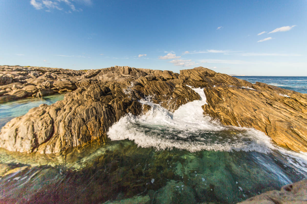 Kangaroo Island Blog Images (57 of 64).jpg