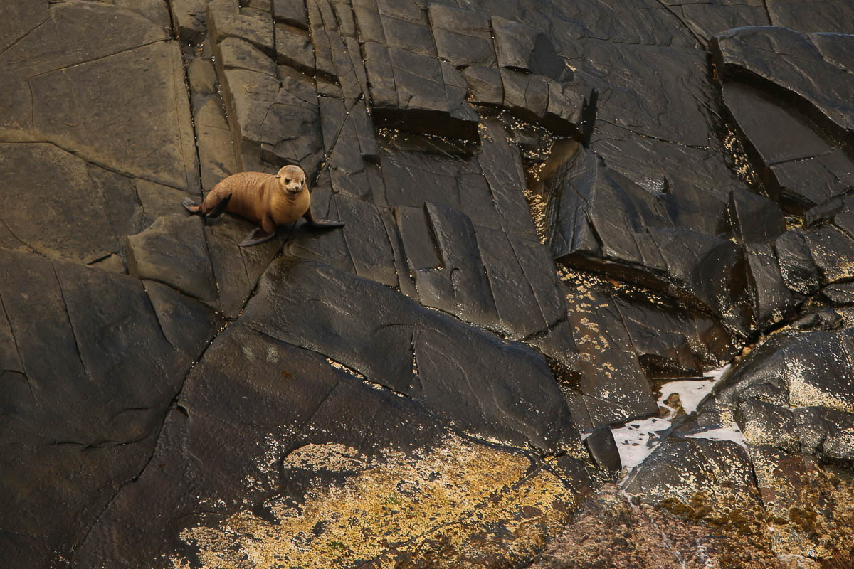 Kangaroo Island Blog Images (32 of 64).jpg