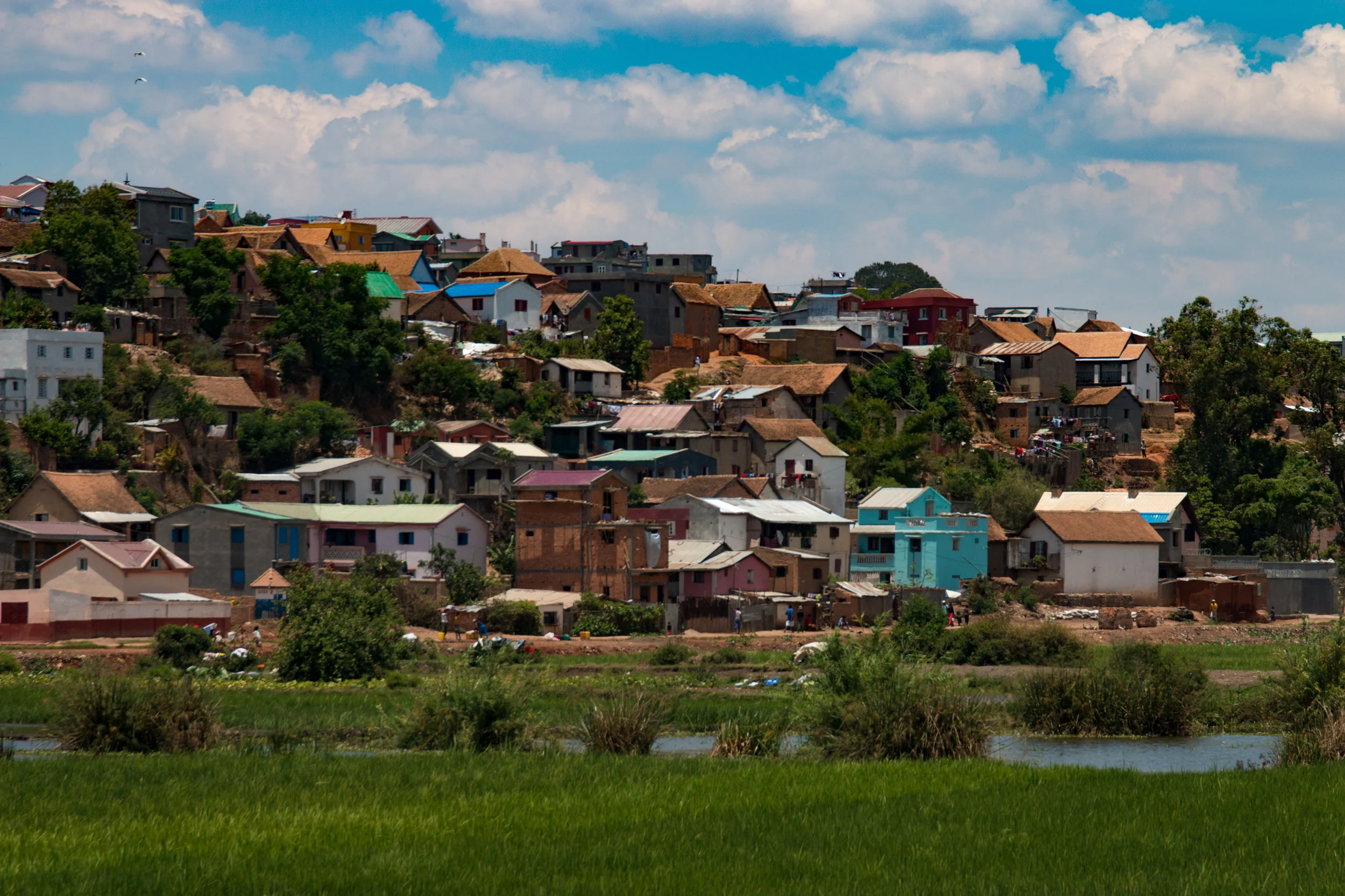 _MG_2183.jpg