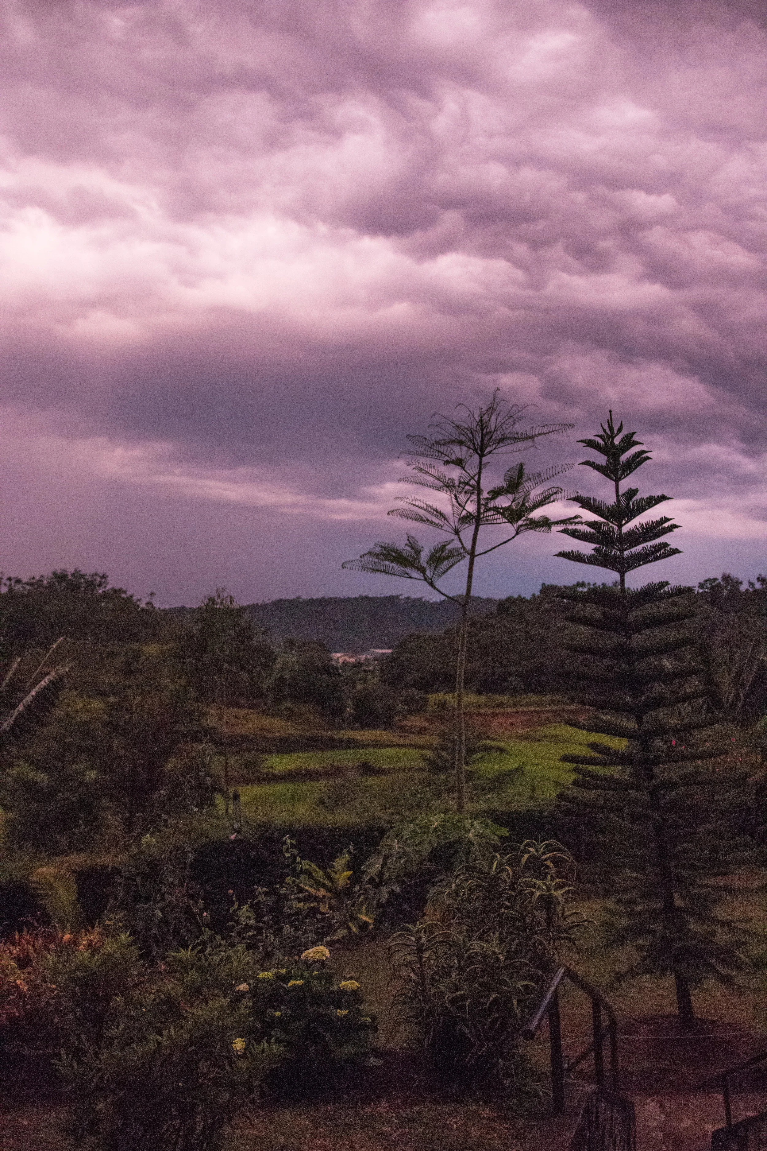 View from Andasibe Hotel.jpg