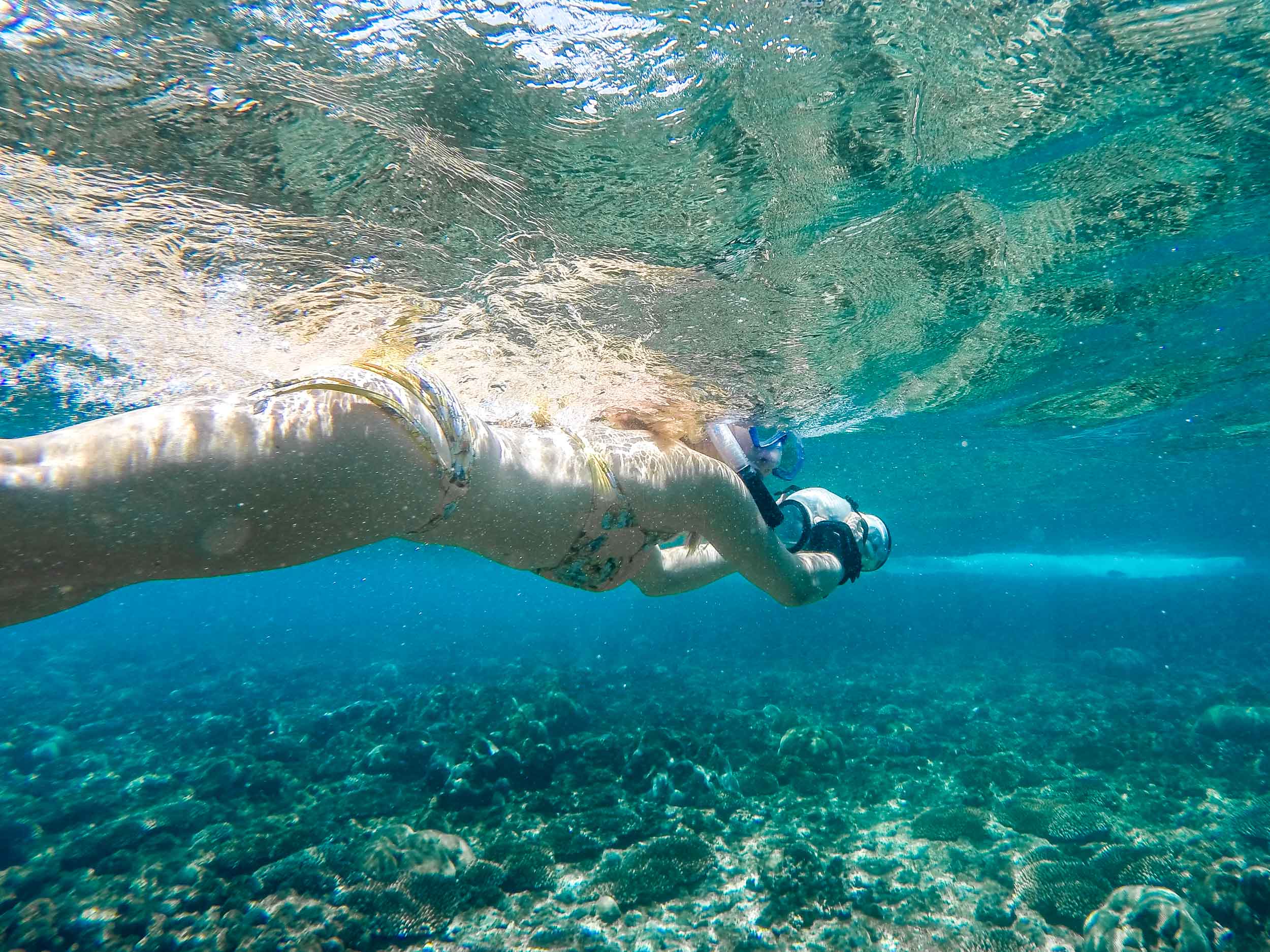 Reef Snorkeling, Vanuatu (4 of 8).jpg