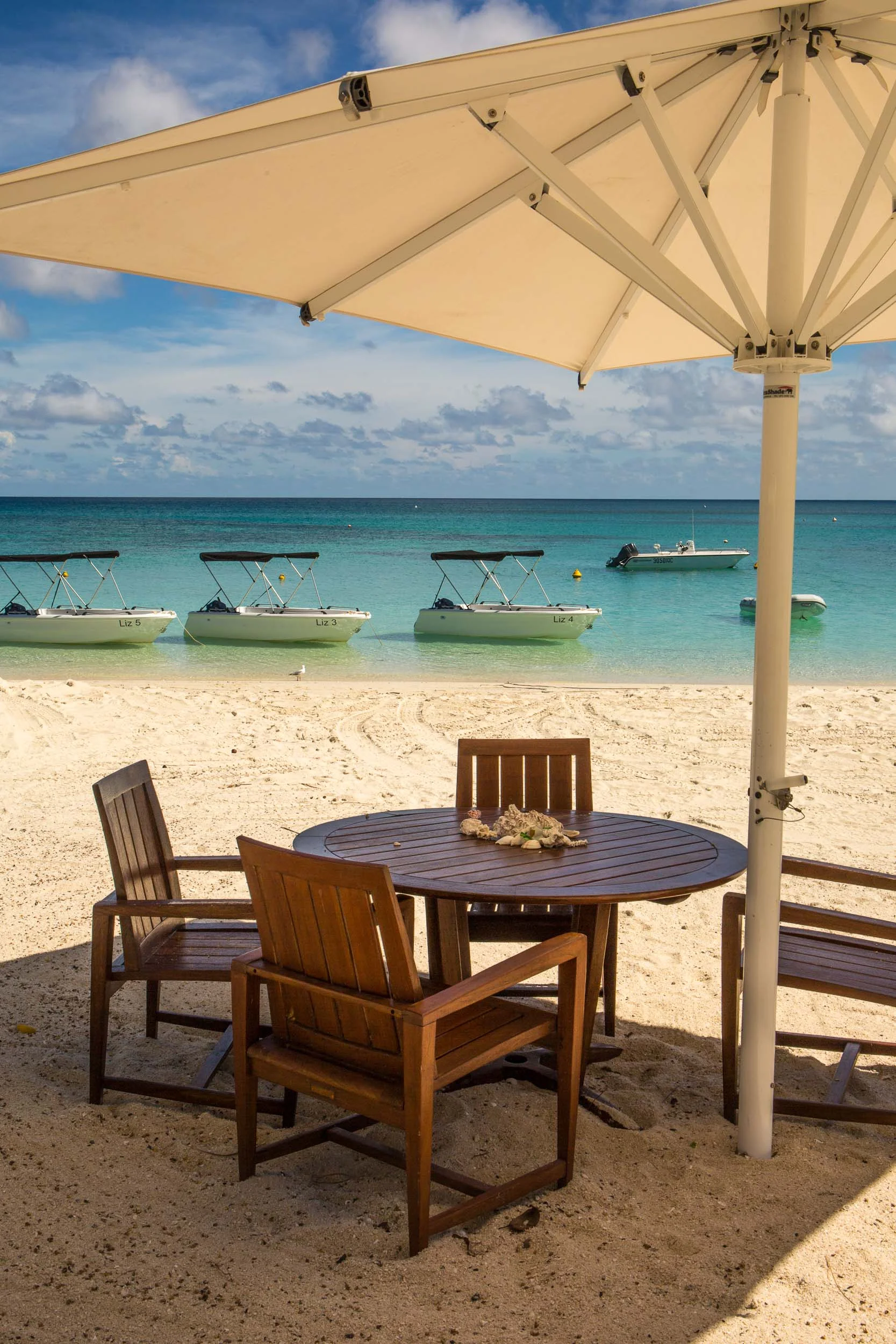 Lizard Island (27 of 42).jpg