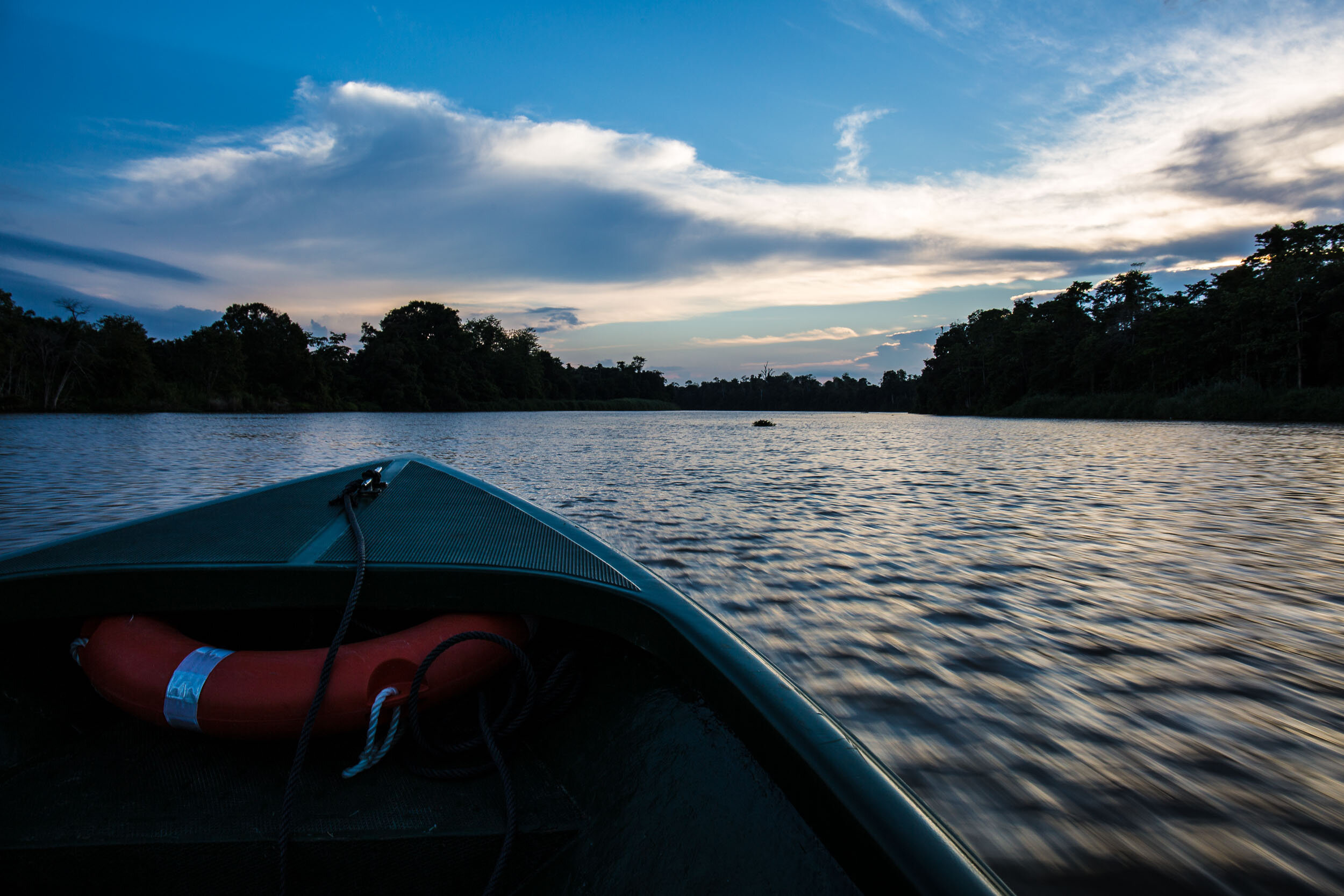 Kinabatangan River Wildlife Sanctuary (11 of 97).jpg