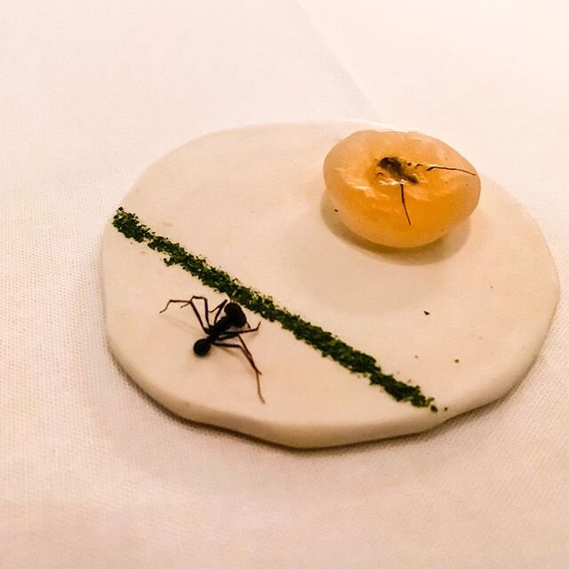 Discovering new flavours, or in fact familiar flavours in new places, at Chef Alex Atala's D.O.M. Gastronomia Brasileira in Sao Paulo, Brazil.

This dish, Amazonian ant two ways, and which tastes like... lemon grass! Not what you might expect!

Read 
