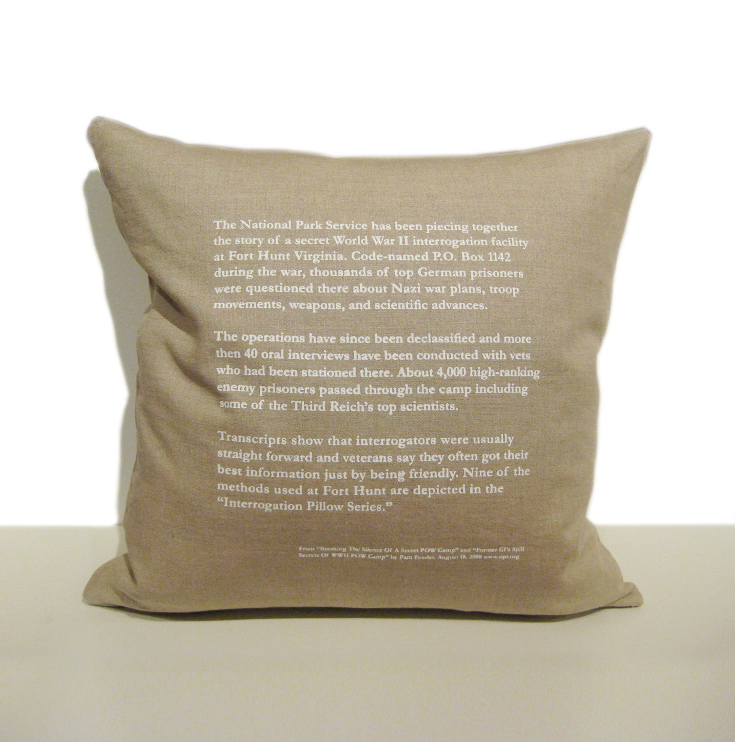    Interrogation Pillow Series  &nbsp;Back view of pillows 