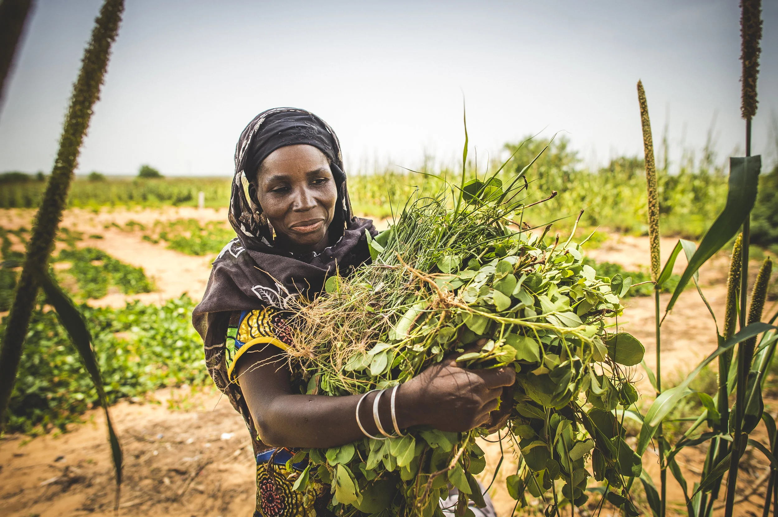 Sean Sheridan for Mercy Corps, Niger