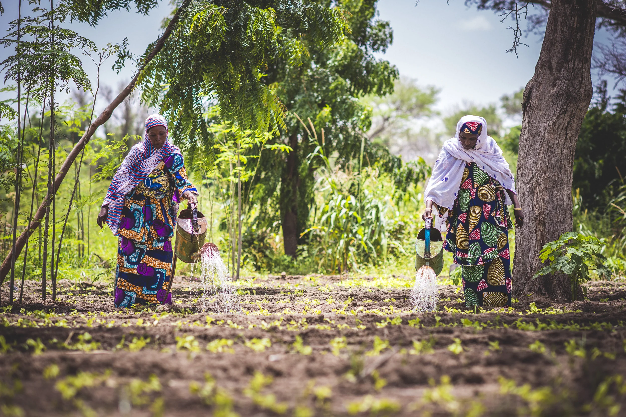 Sean Sheridan for Mercy Corps, Niger