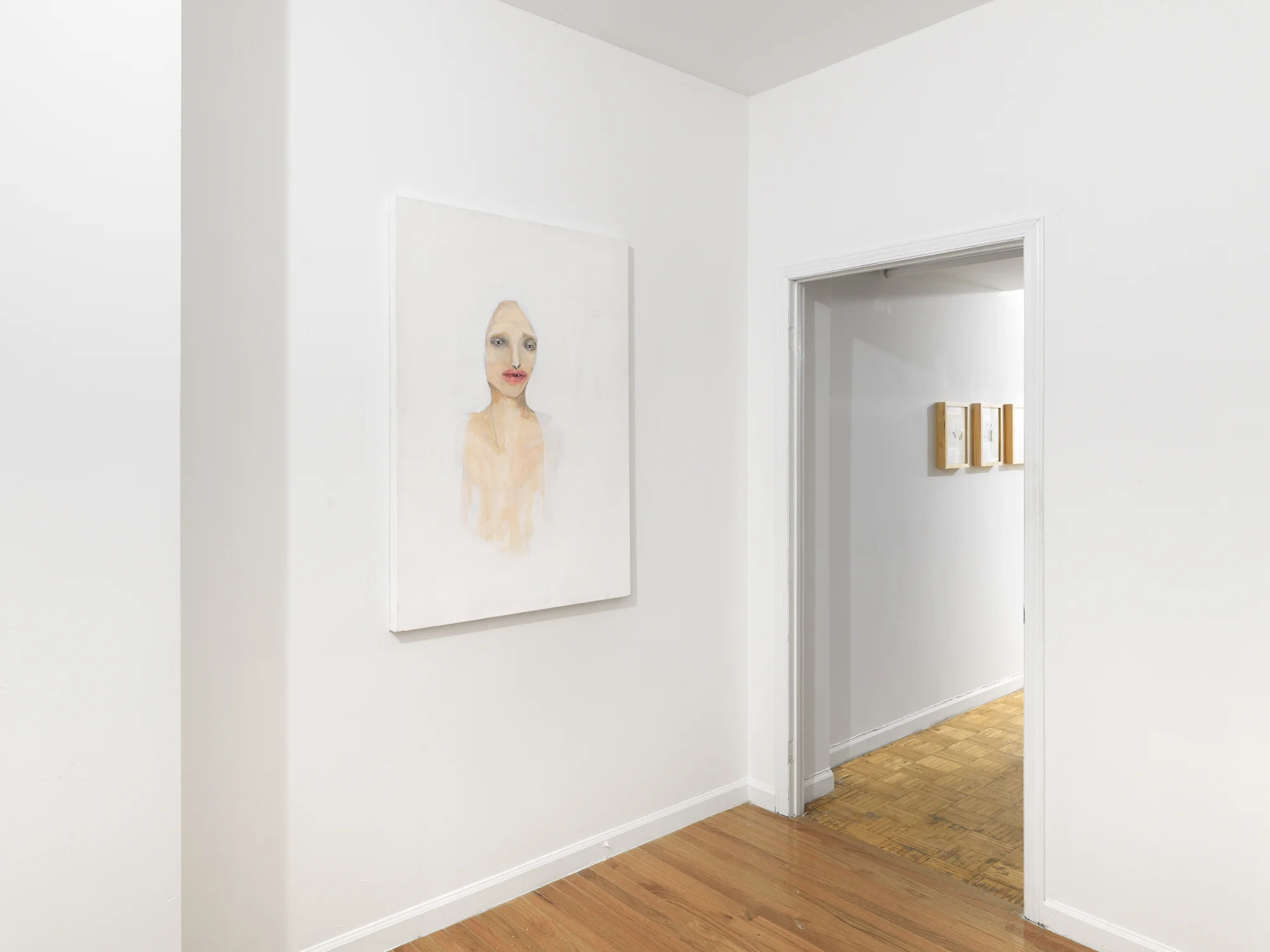Installation shot from 2017 solo show 'Crazy? Did you Say Crazy? I was Crazy Once, they put in a White Room, I Died there, they Buried me, the Worms Tickled my Feet, it Drove me Crazy...' at Larrie NYC