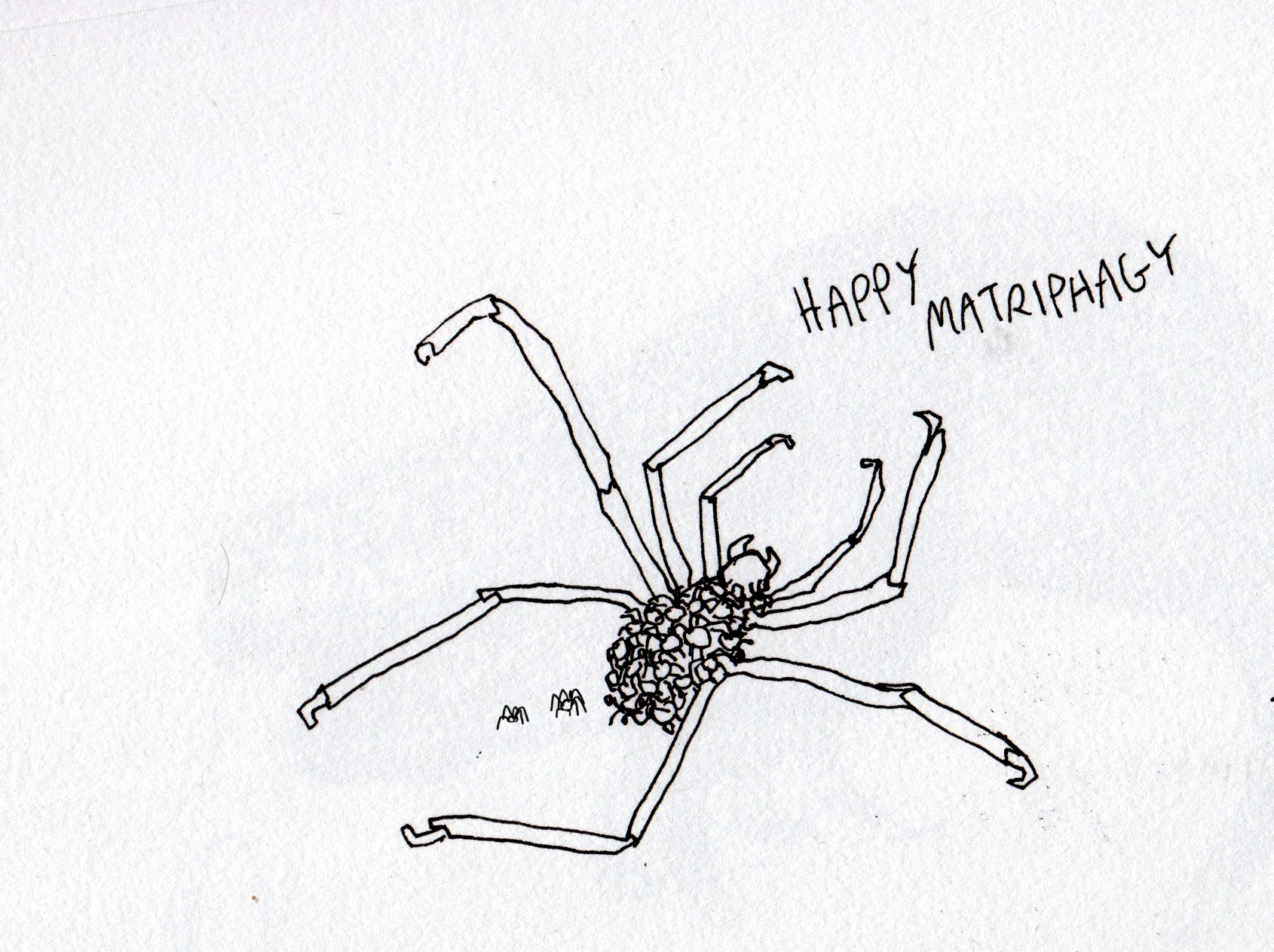 happy matriphagy.jpg