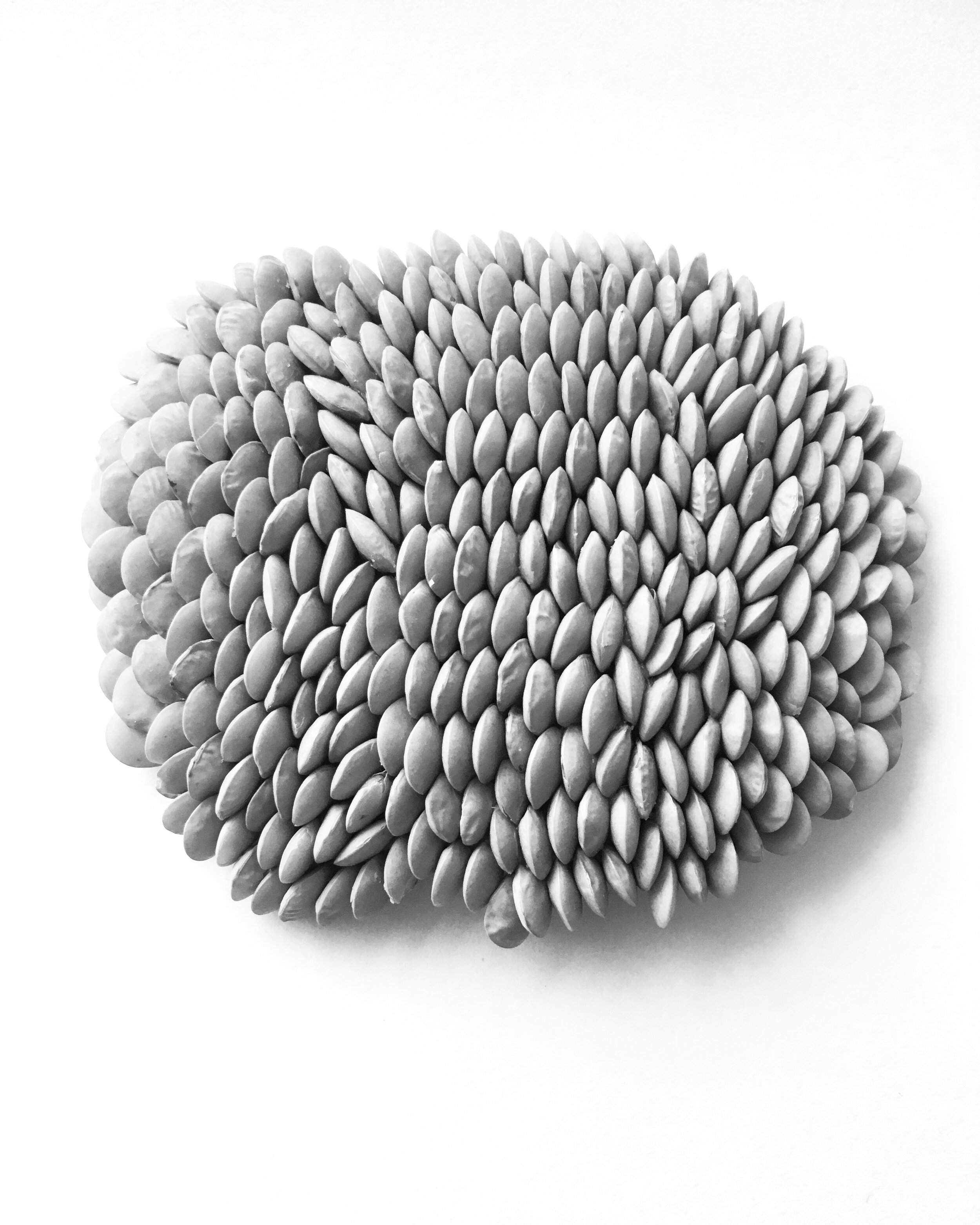 Brooch Sketch: Lentils I.