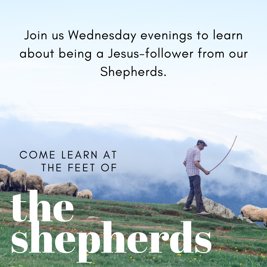 The Shepherds Insta post.png