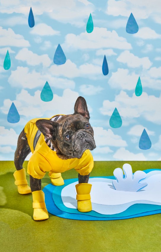 CBspring+raincoat16 copy.jpg