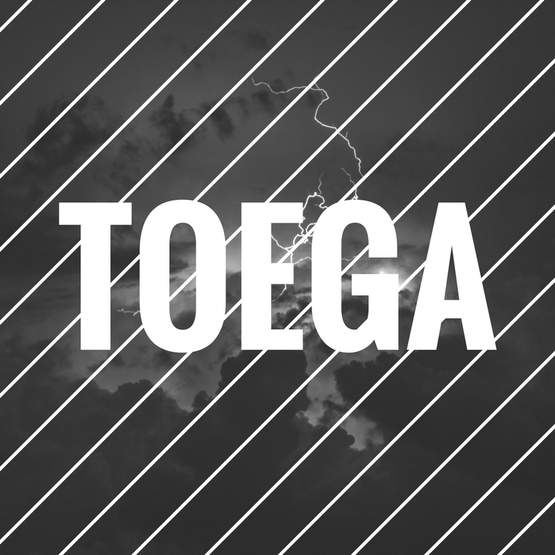 TOEGA-5.png