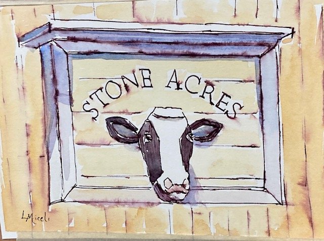 Dairy Cow, Stone Acres, Ink and watercolor, 5X 7"