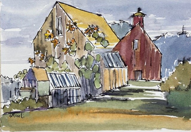 Sunflowers at the farm,  Ink and watercolor, 5 X7