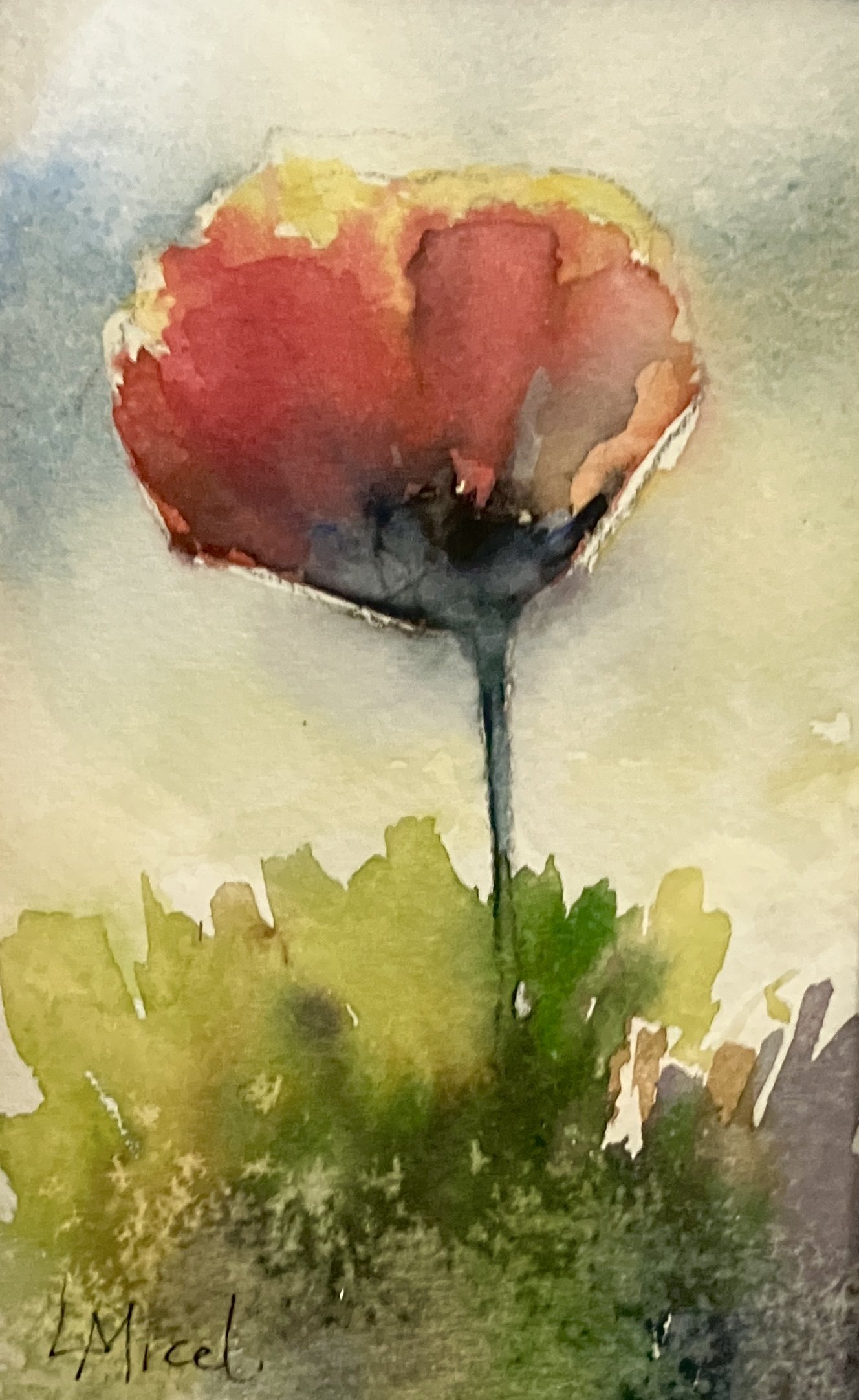 Poppy in a field, 6X4, watercolor