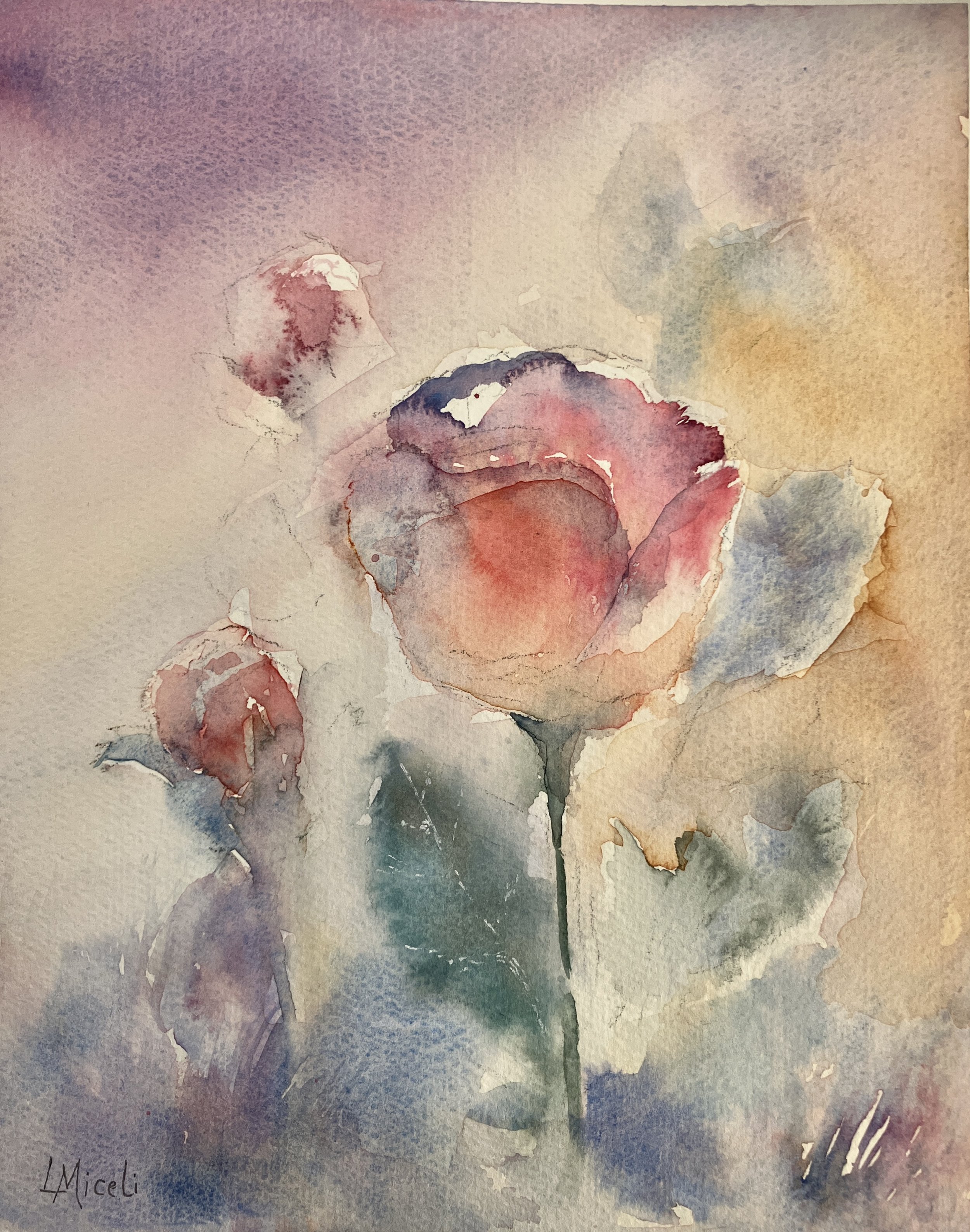 Light on a rose, 10 X 8" watercolor