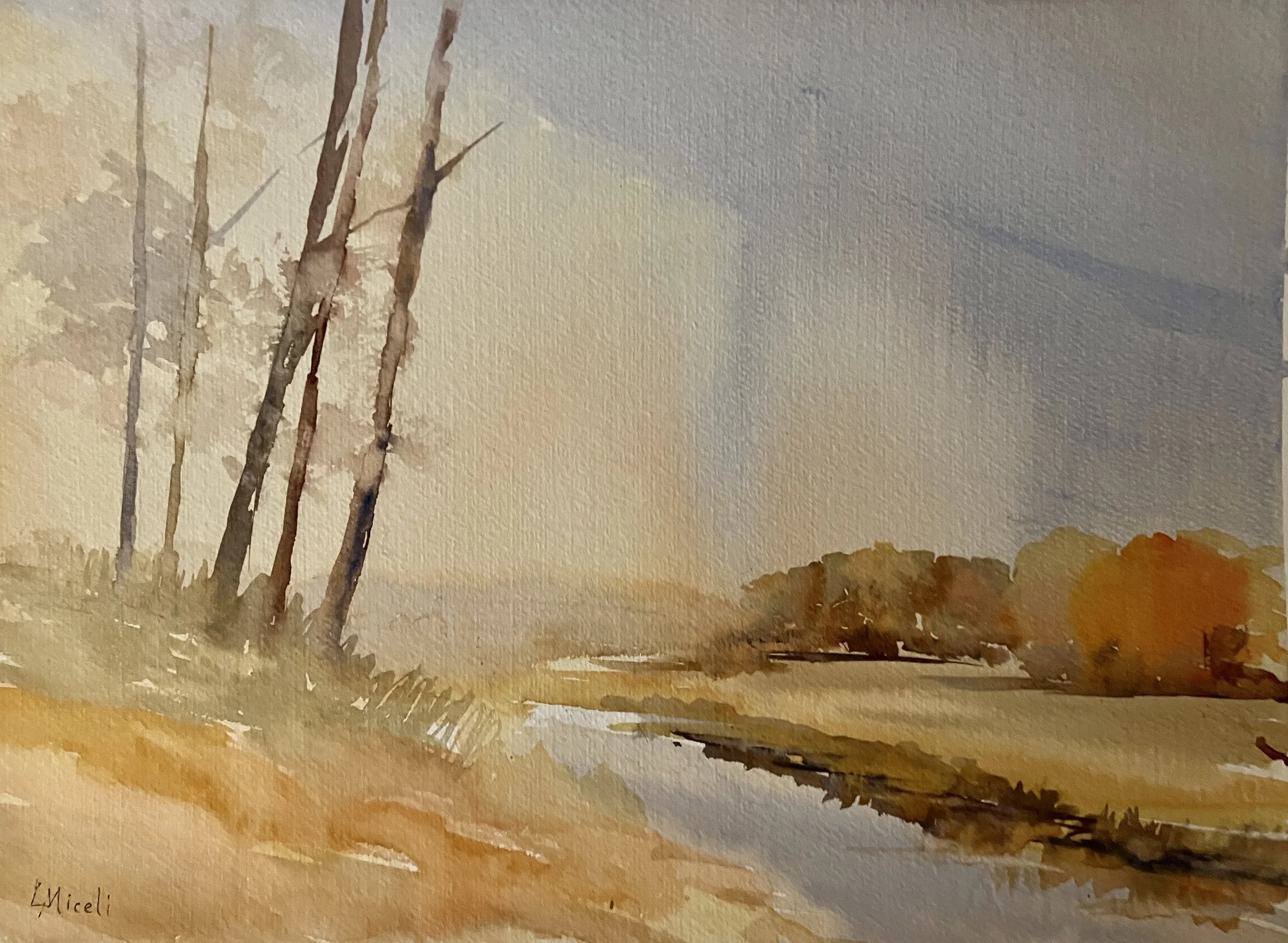 Stonington Meadows, class demo, 11 X 14"