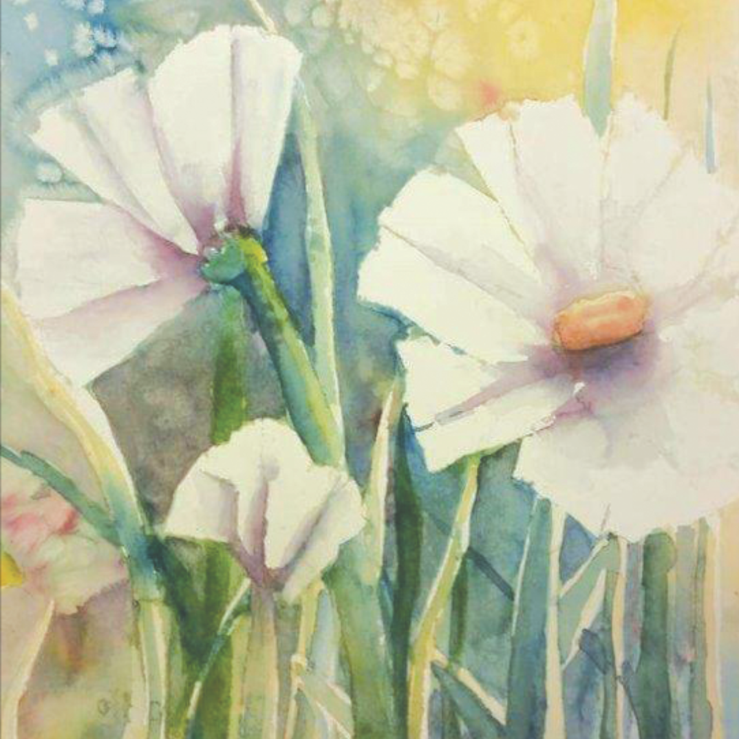Christine Link .Have my own gallery work with a couple different artist, and I am a artist, teacher. Work with all ages and teach all art mediums. Have on going classes, including a new pottery studio. Special workshops and night painting classes. View my work on display at Christine's Fine Art Gallery 2069 w. Acoma Blvd. | Lake Havasu City, AZ. 86404 (928) 505-4199