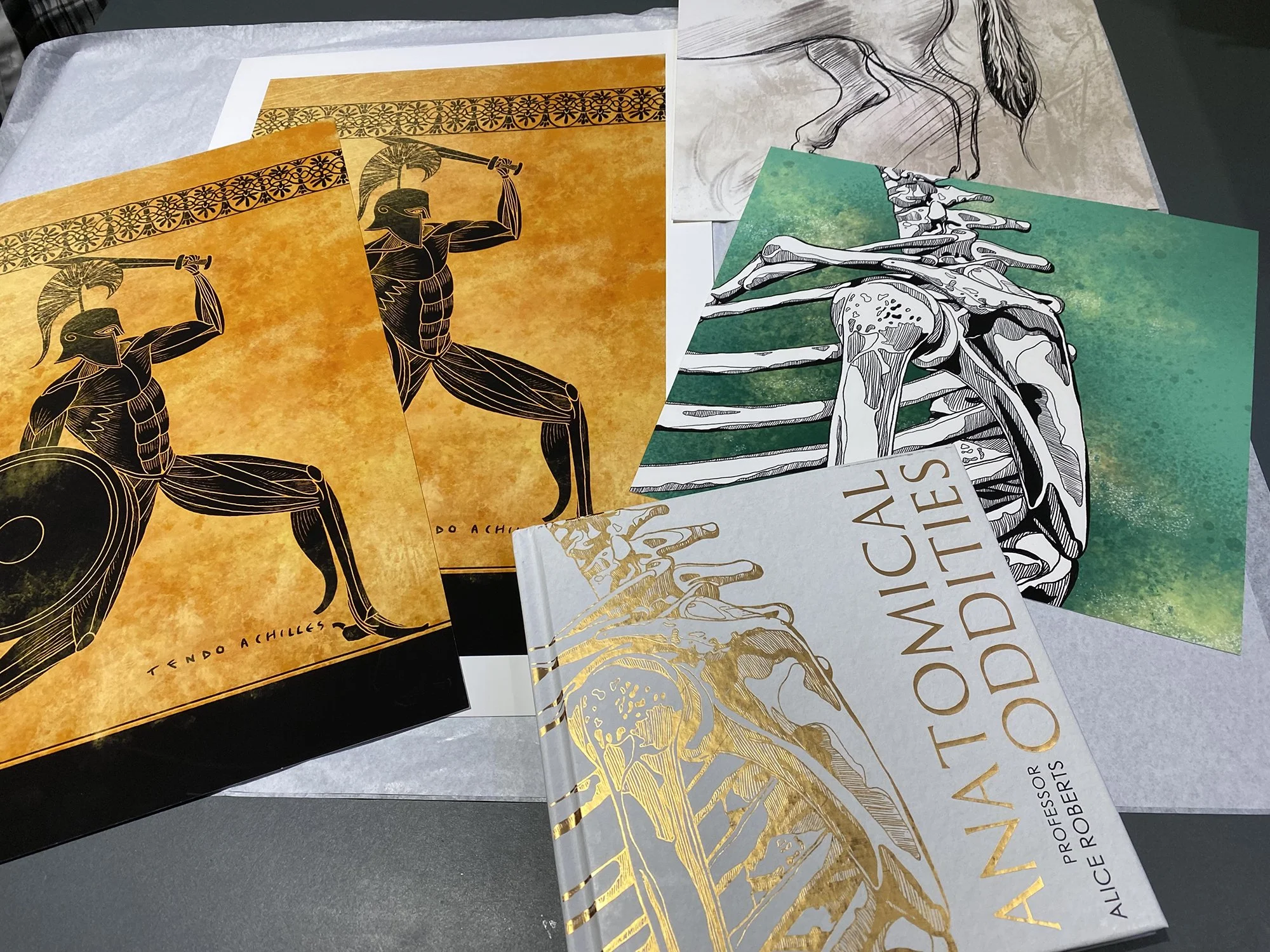 Anatomical Oddities Prints.jpg