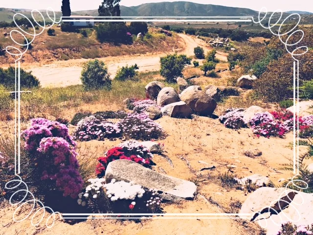 Valle de Guadalupe, Ensenada BC, Mexico