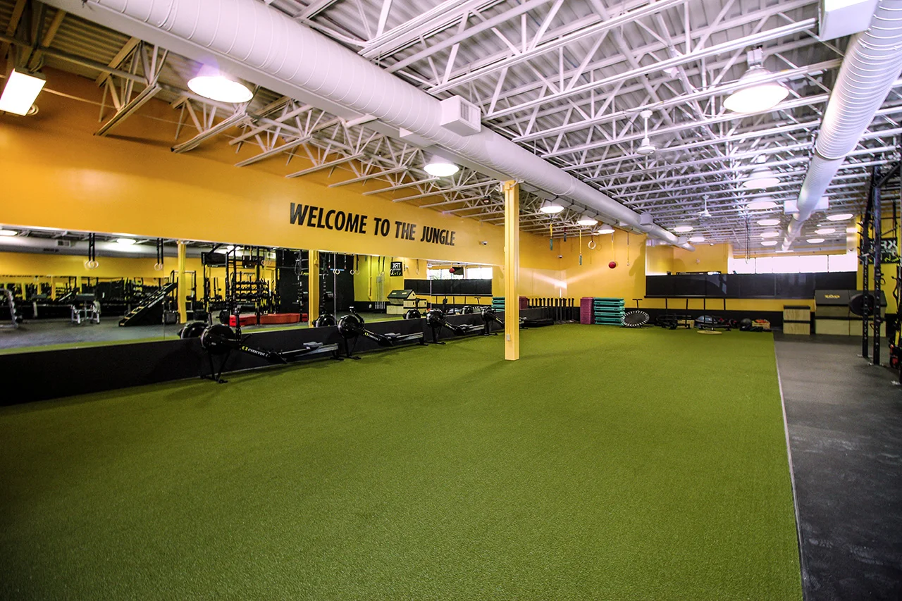 Turf.jpg