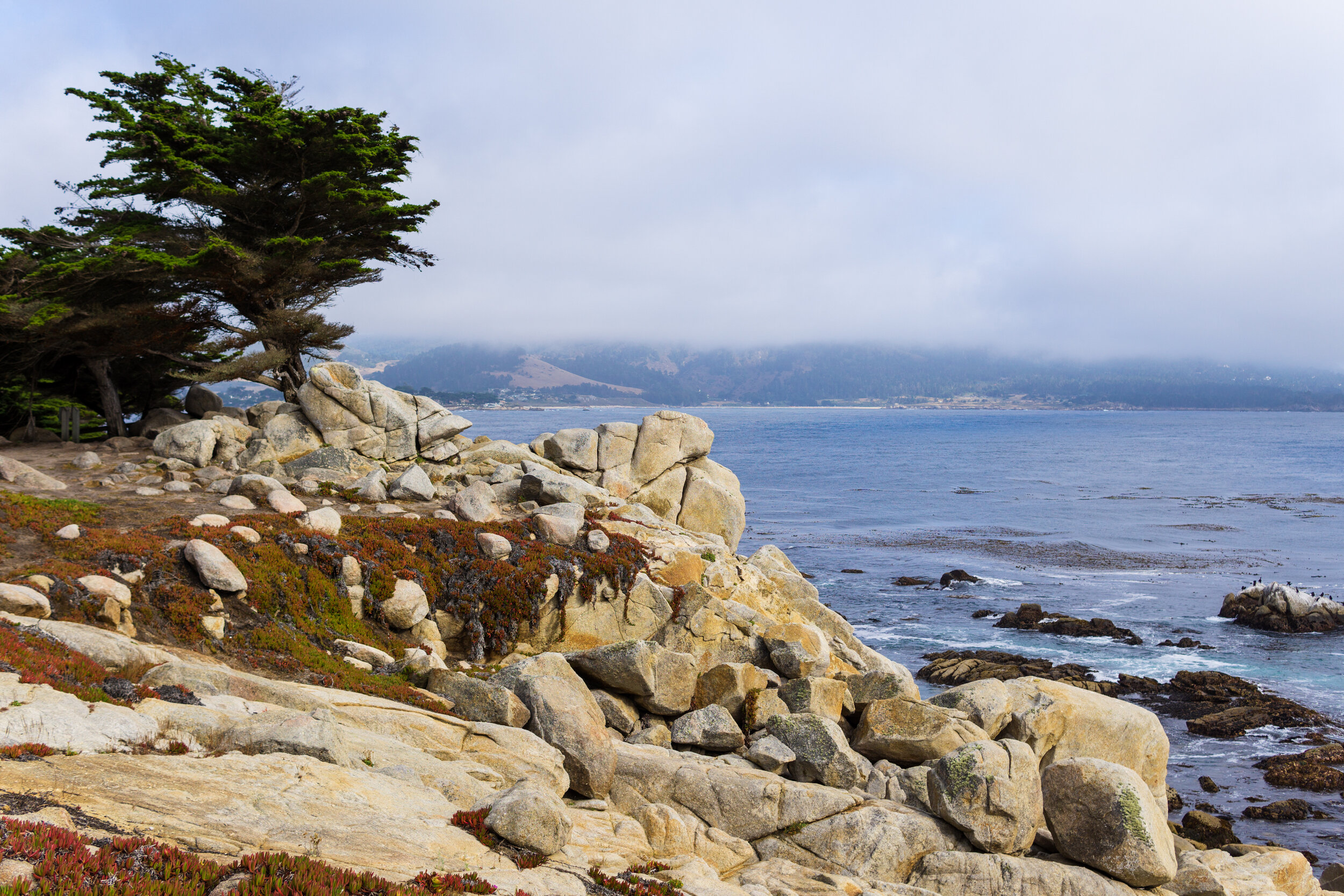 Pescadero Point, Carmel-by-the-Sea, CA