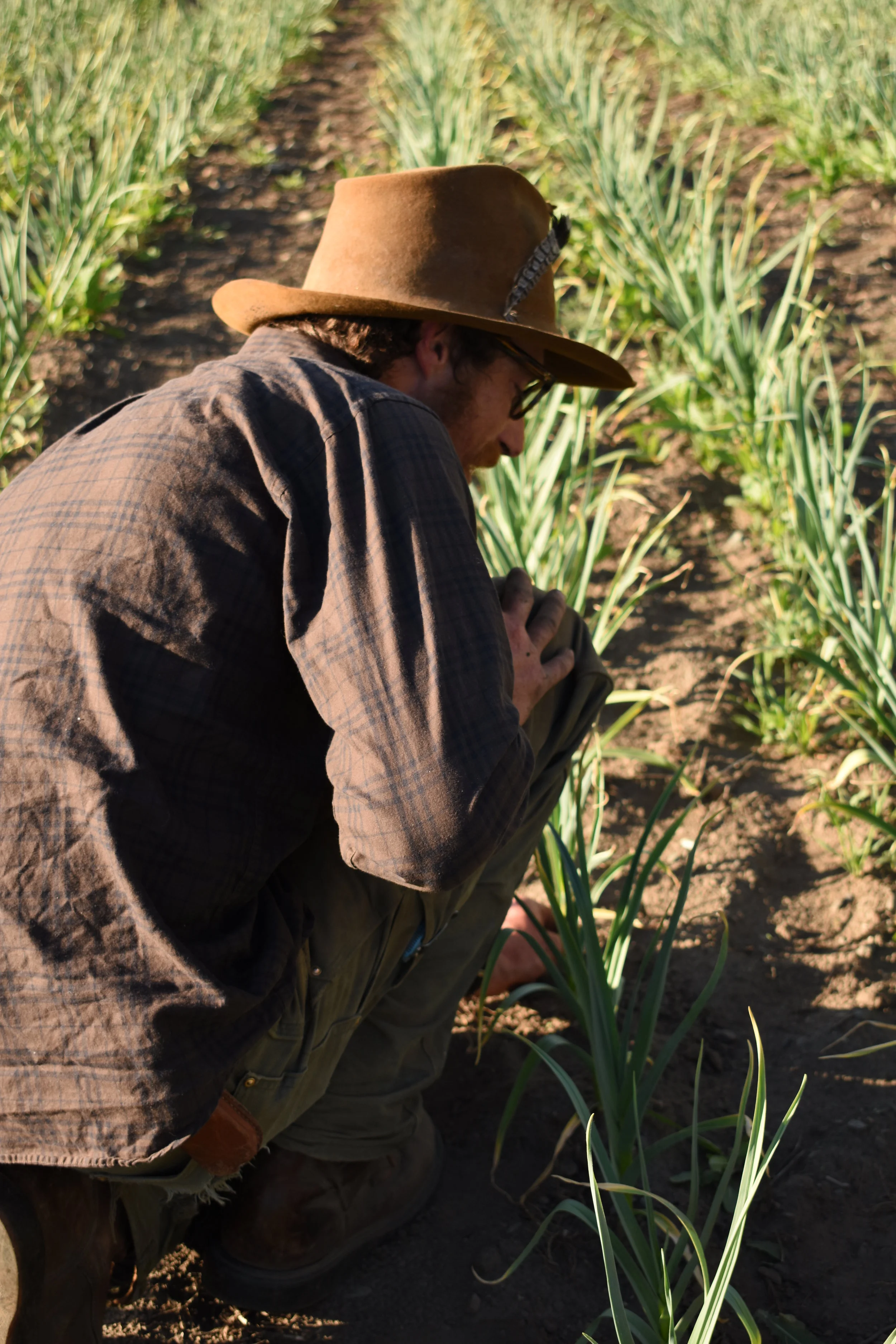 Spring_2018_MethowConservancyAgriculture_AlyssaJumars 190.JPG