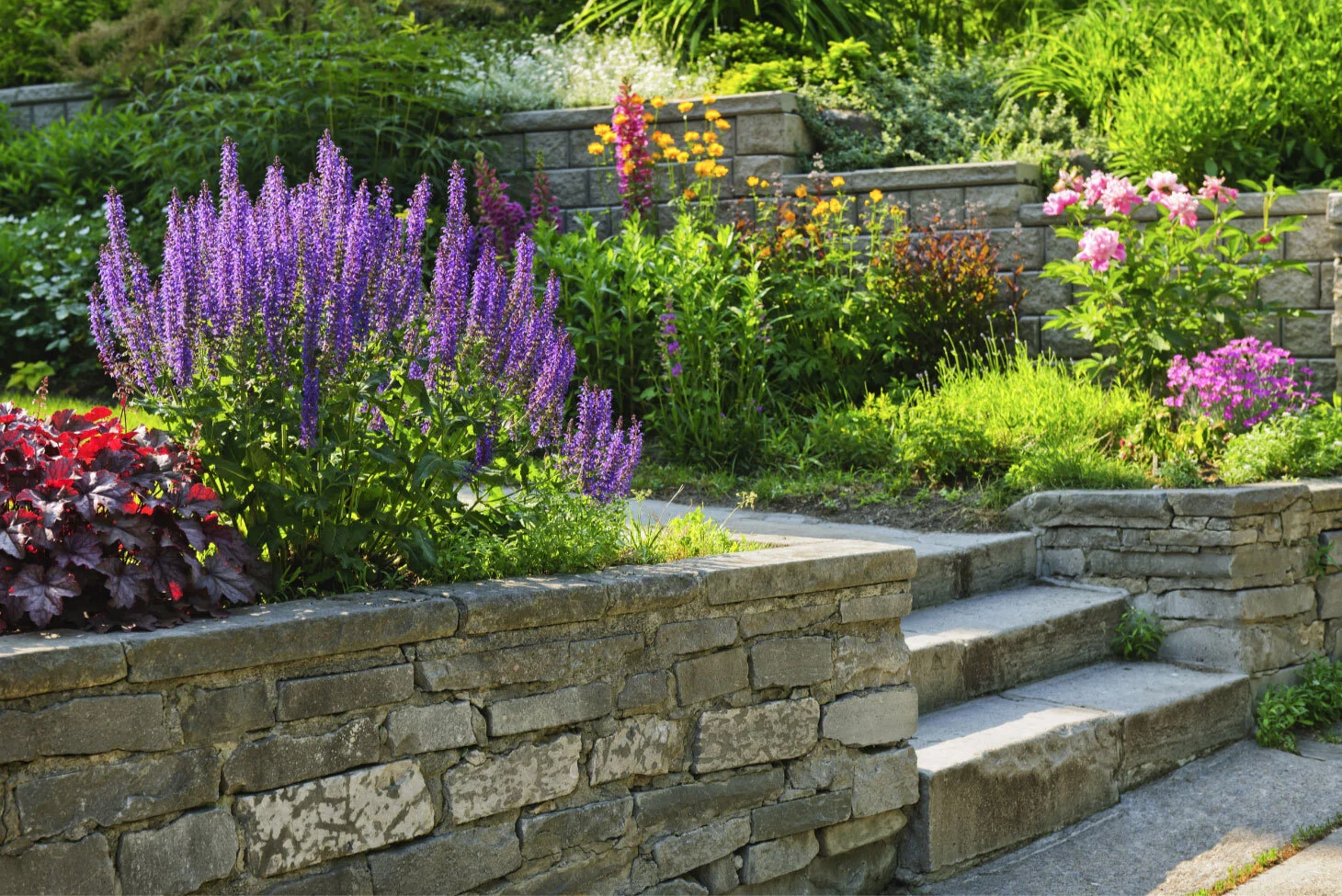 Step garden with colorful flowers including purple, pink, yellow, and red blooms, bordered by stone walls and steps on a sunny day.