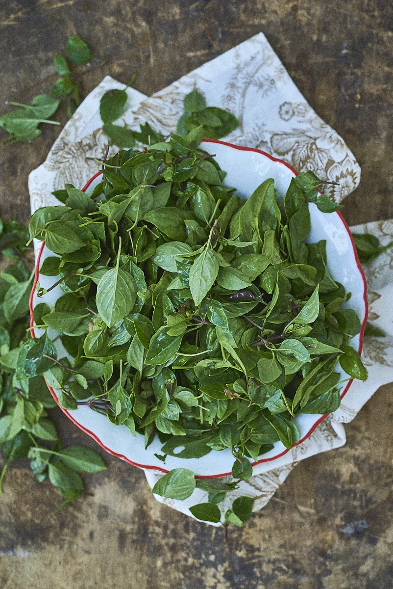 3 ways with pesto the besto