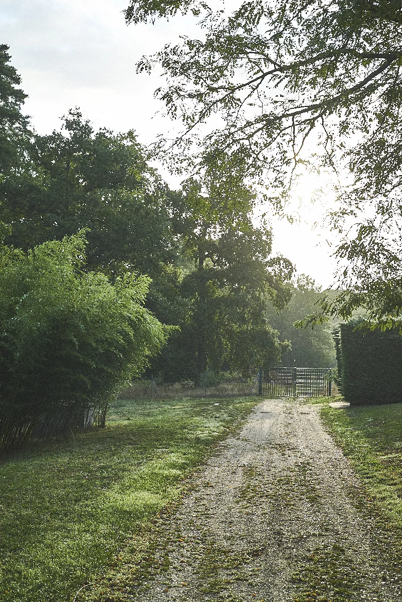 Morning in Chateau Magnol