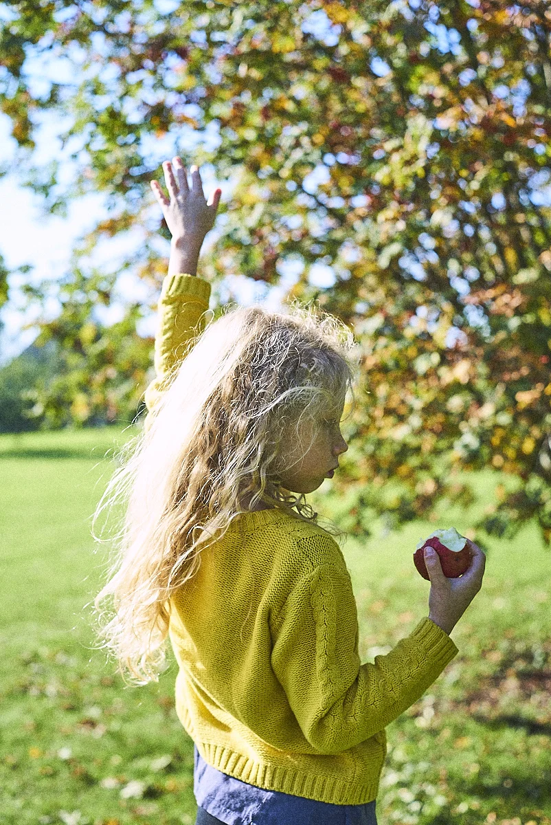 The story of rowanberry butter