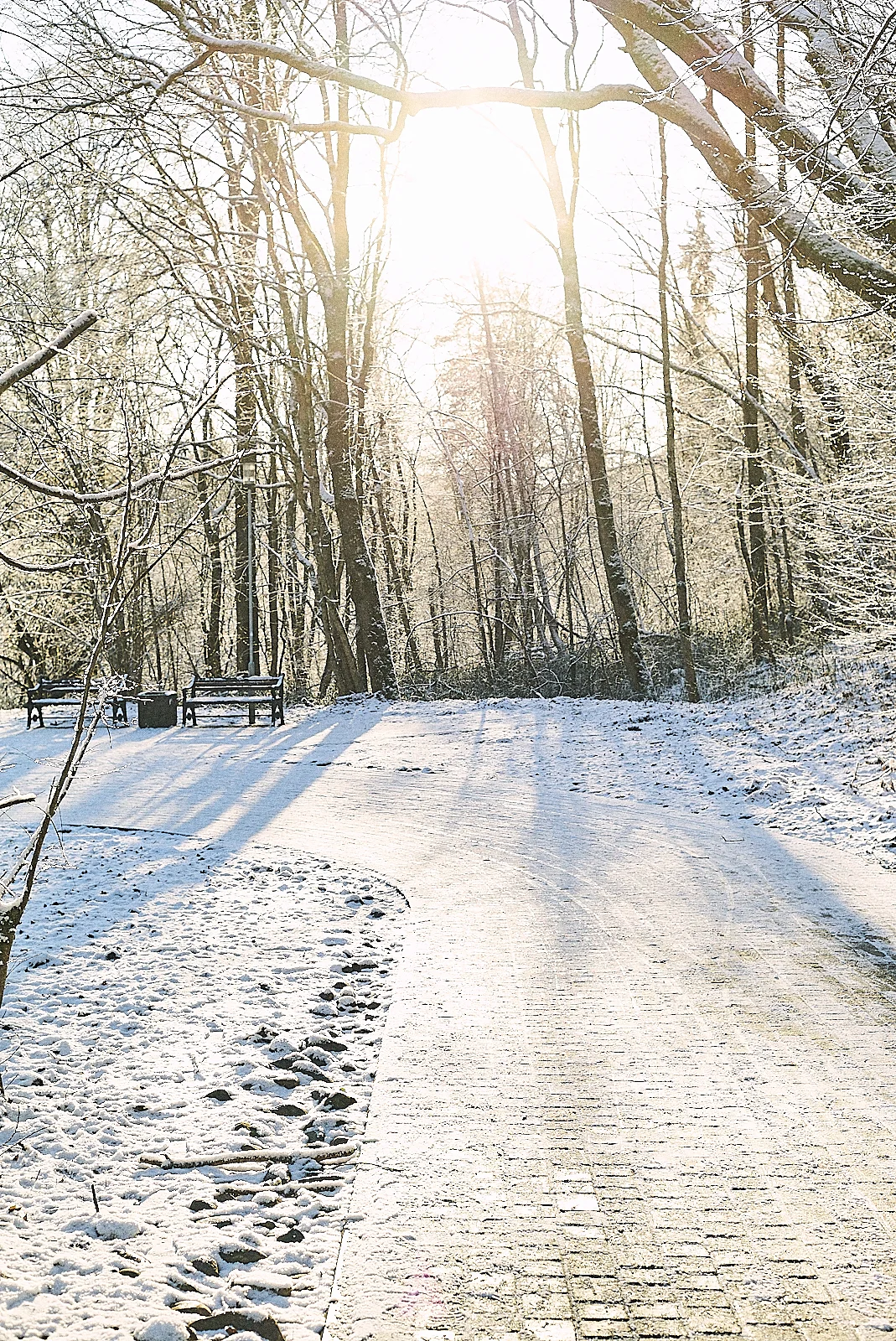 After the snow comes