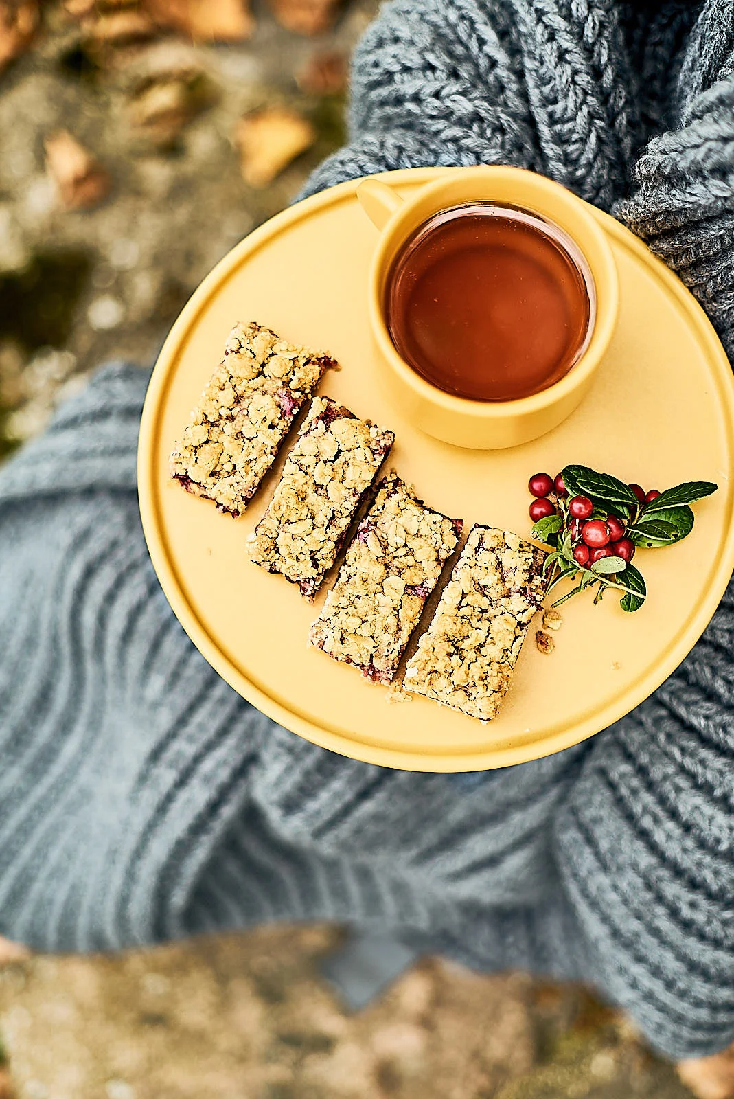 Countryside plum crumble pie