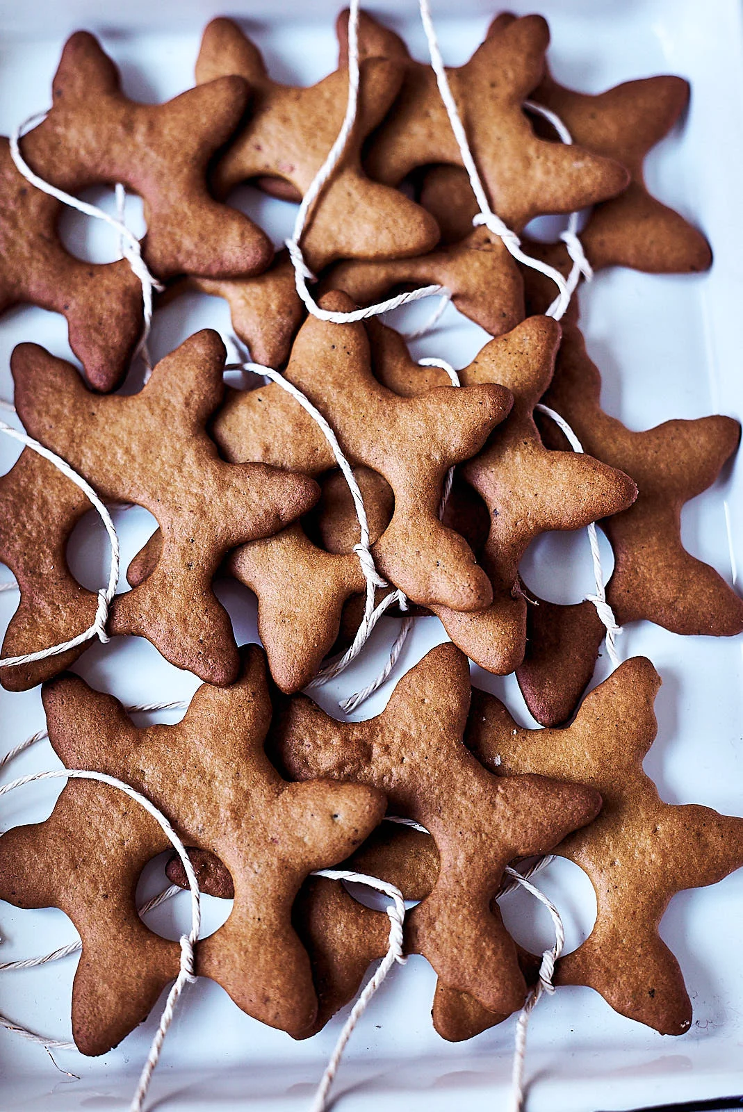 Christmas inspiration