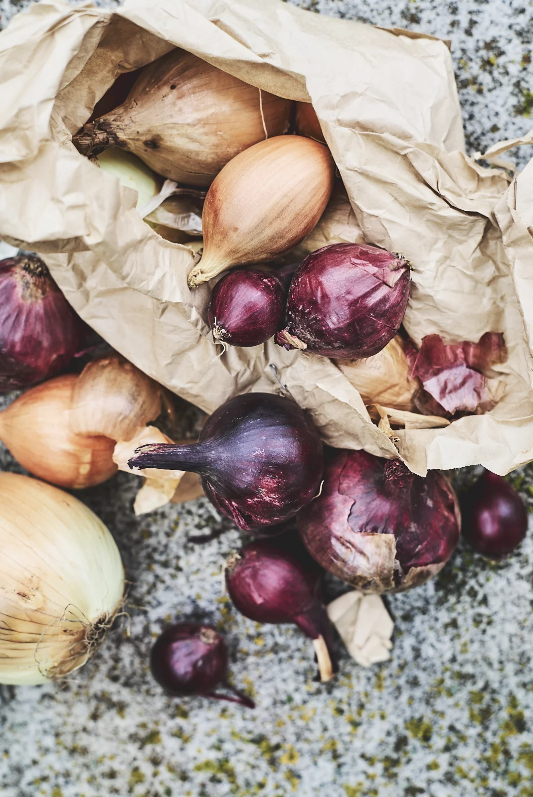 Onions and soup. Country living