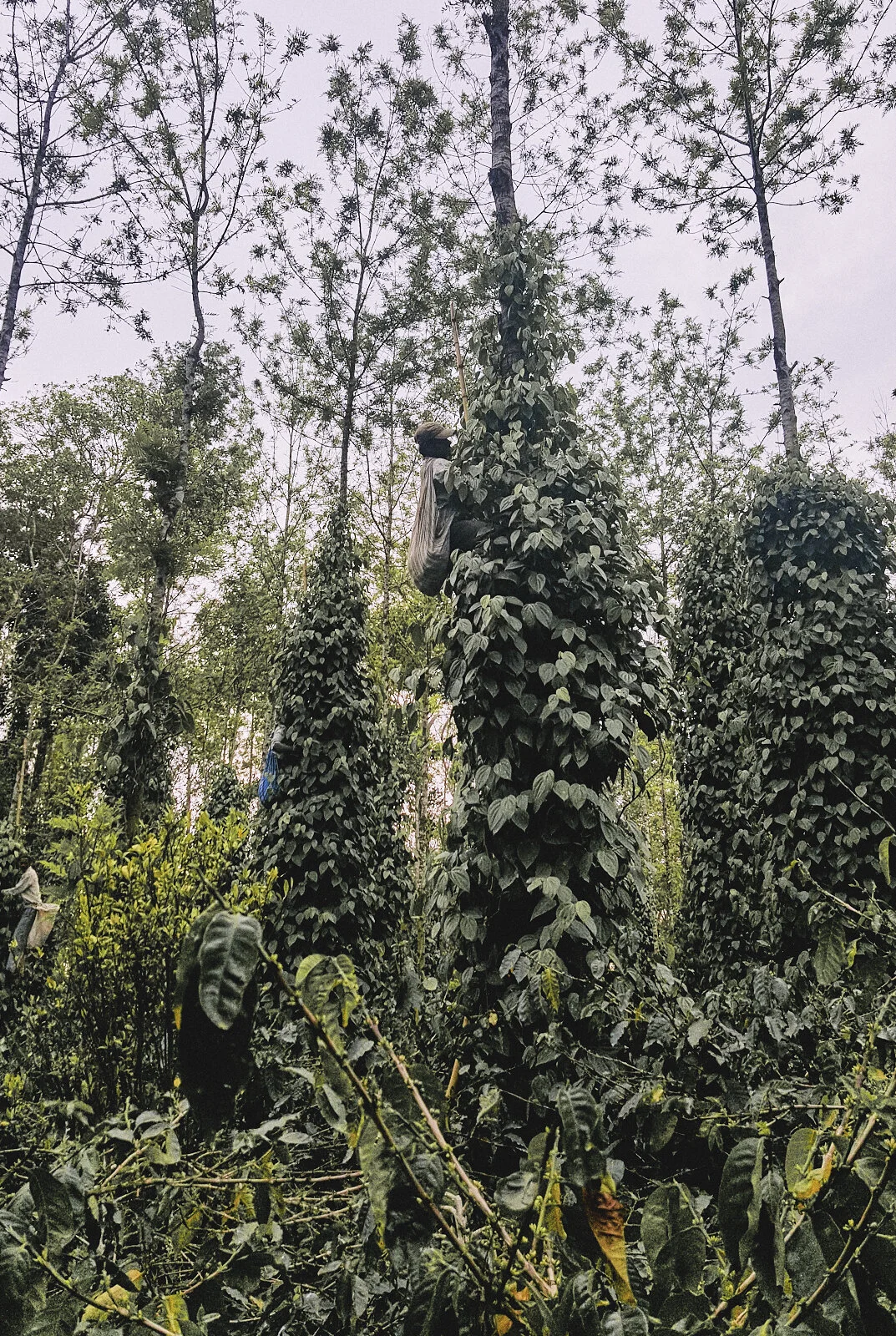 20160201_160830.jpg