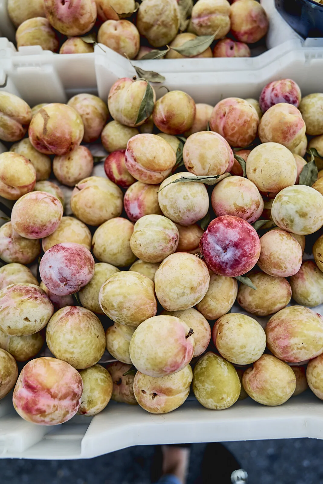 Saturdays in San Francisco