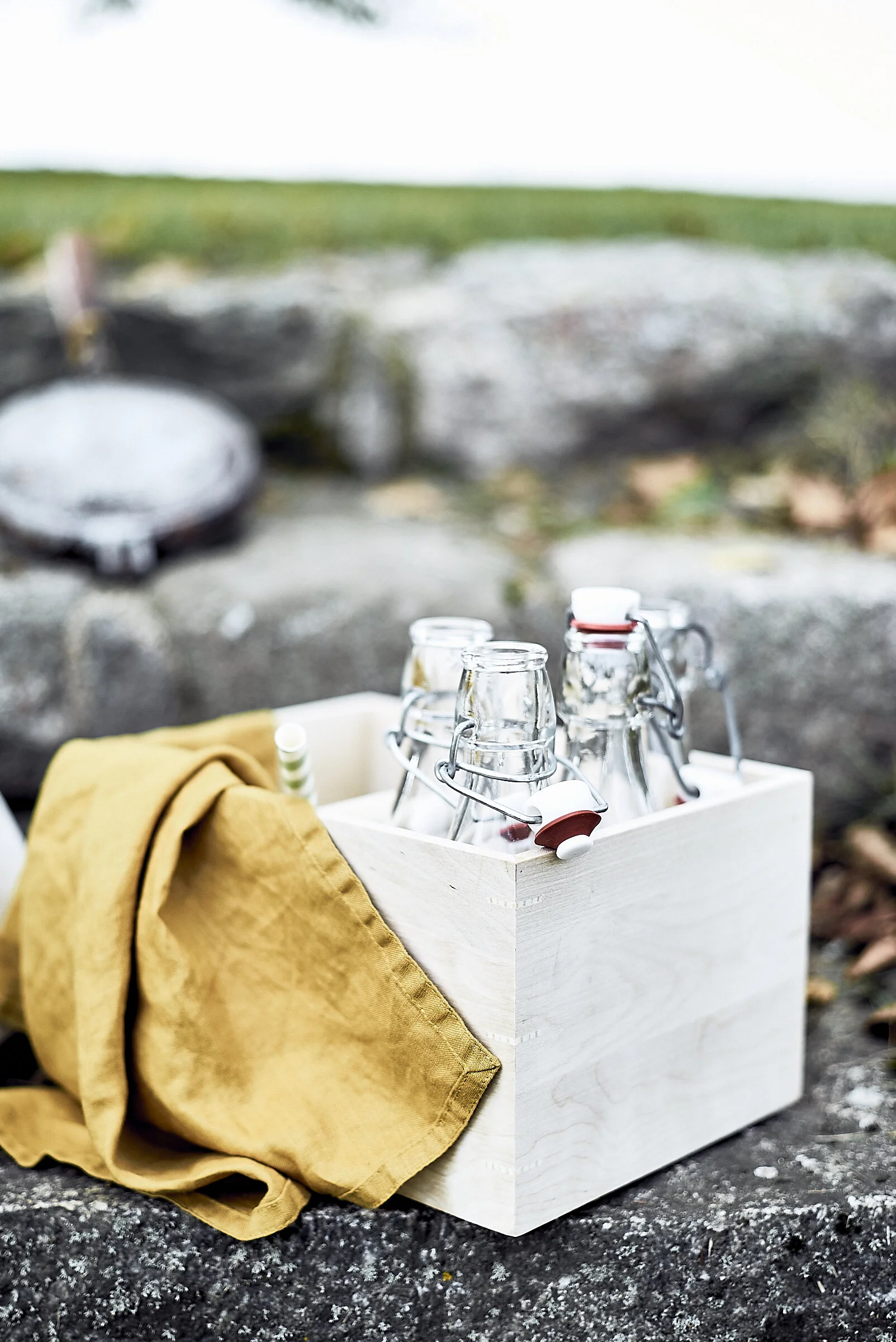 "end of summer" plum lemonade