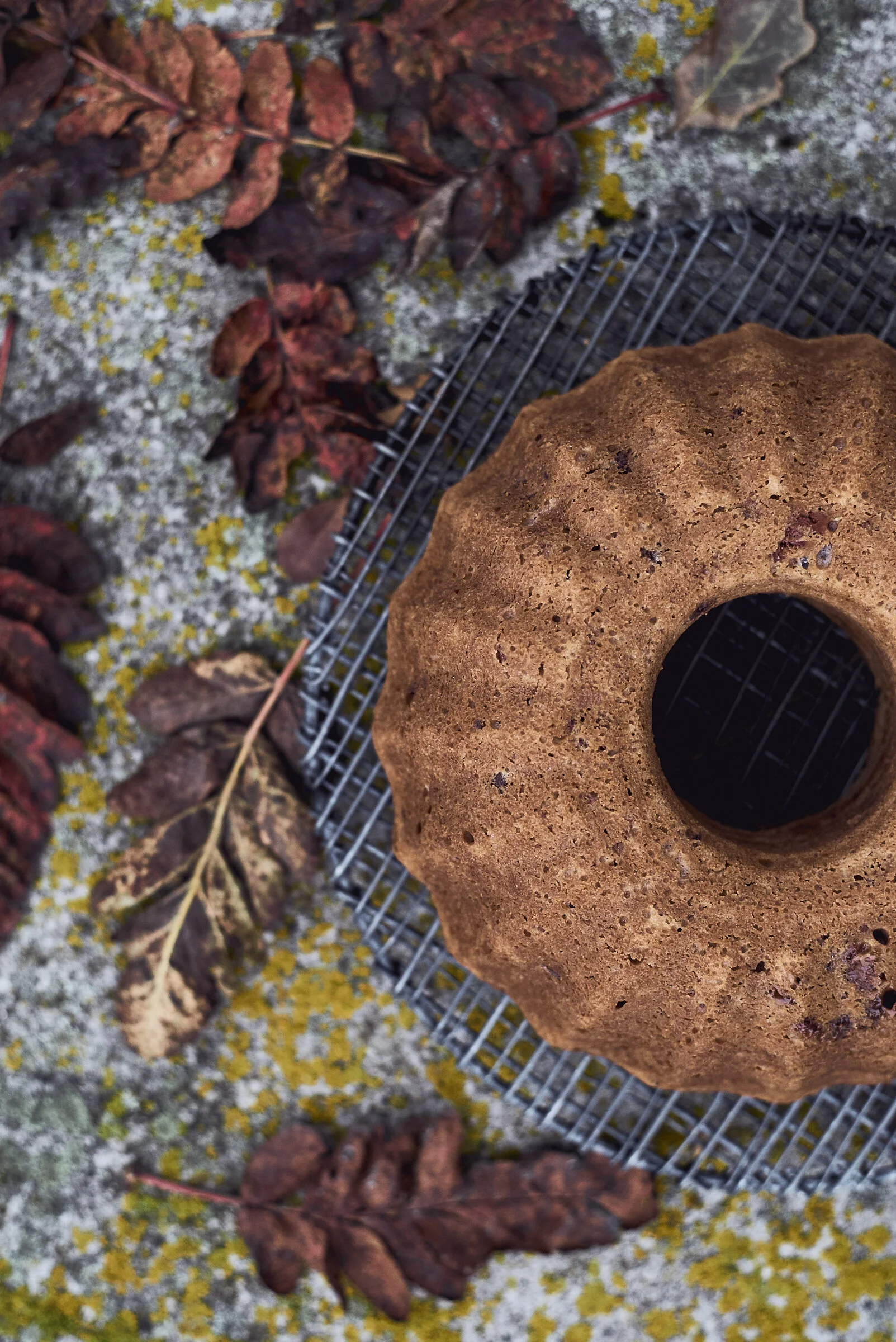 Weekend Eats BOOK. CROWDFUNDING