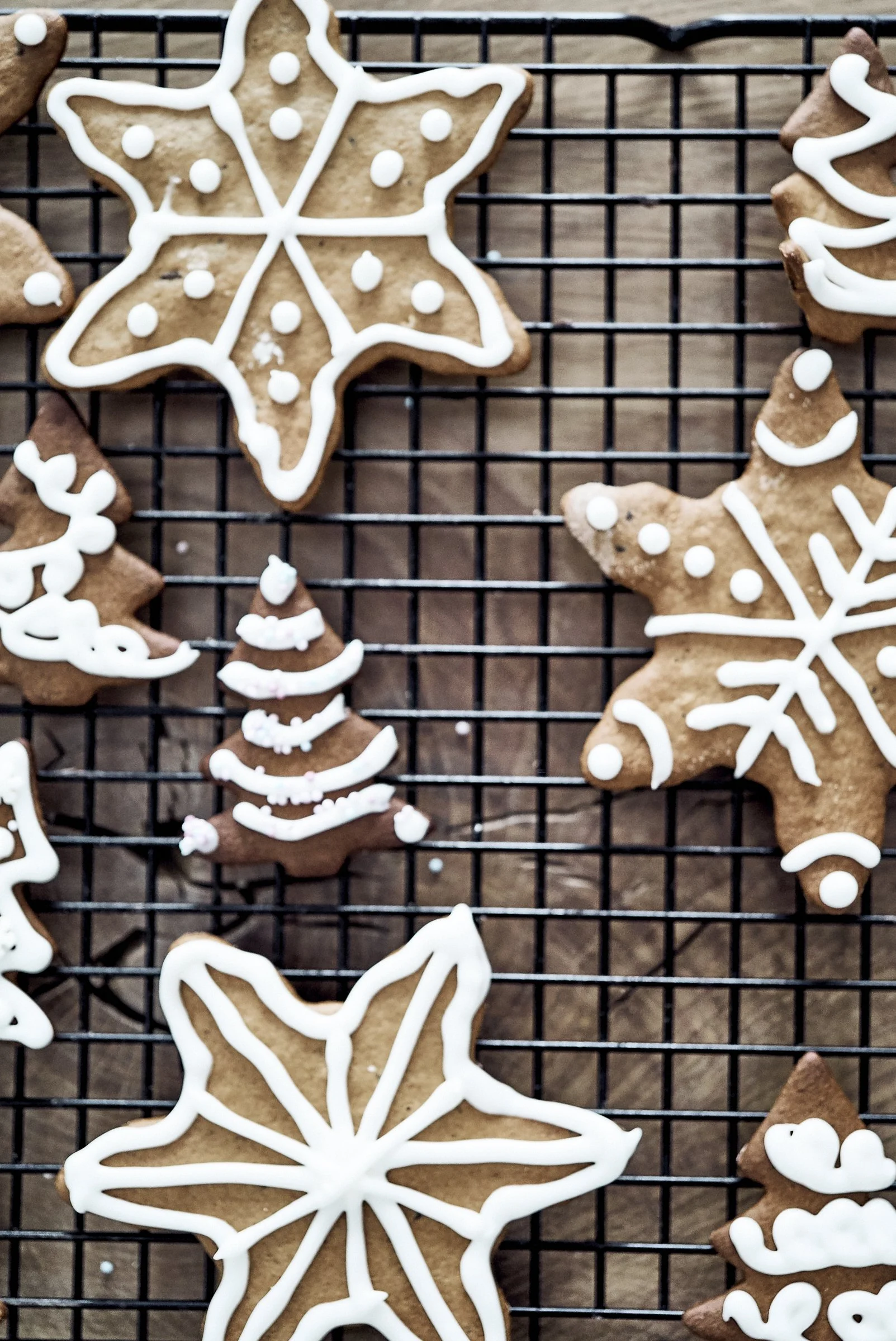 when the snow covers the ground. december 2021