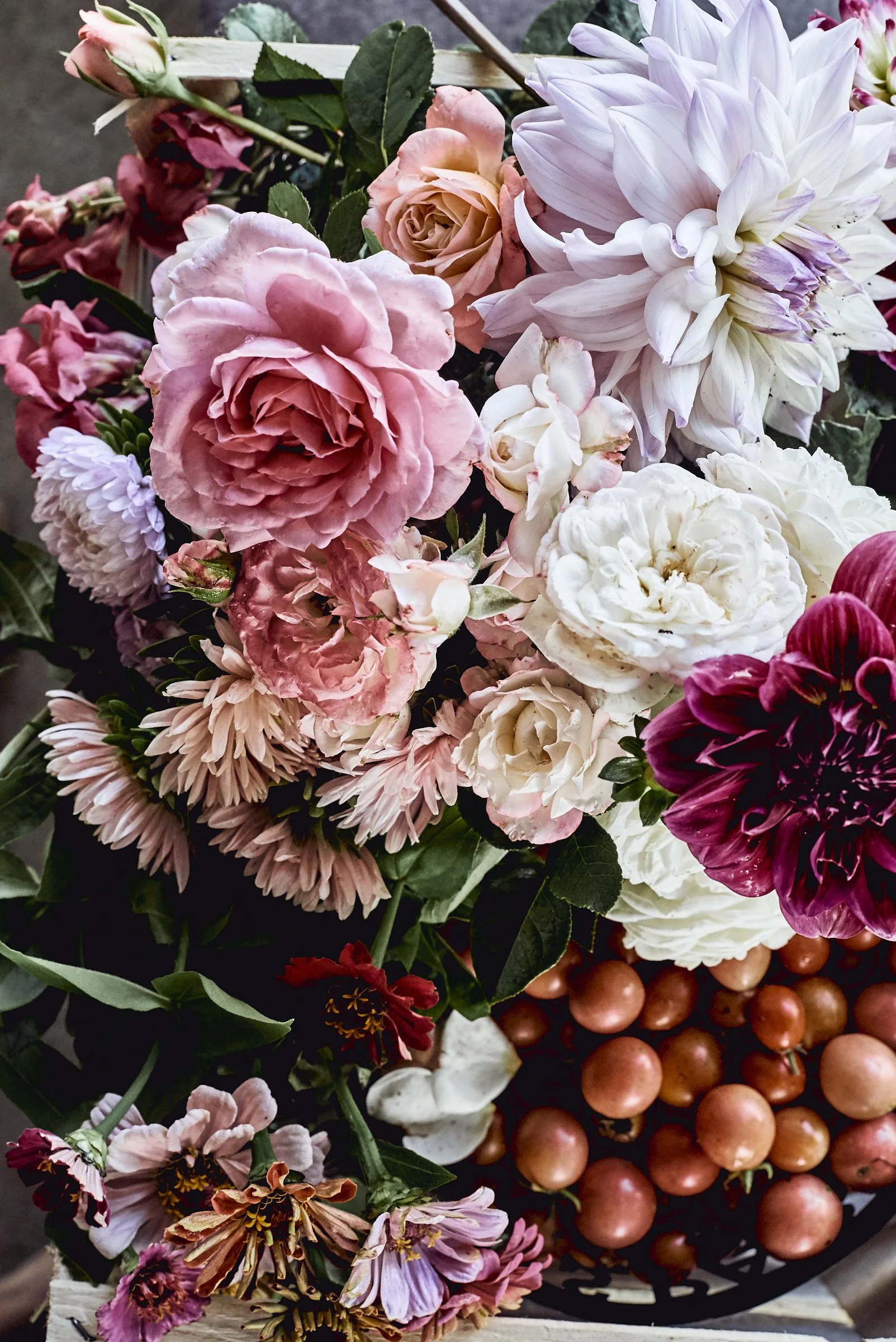 new beginning. or not