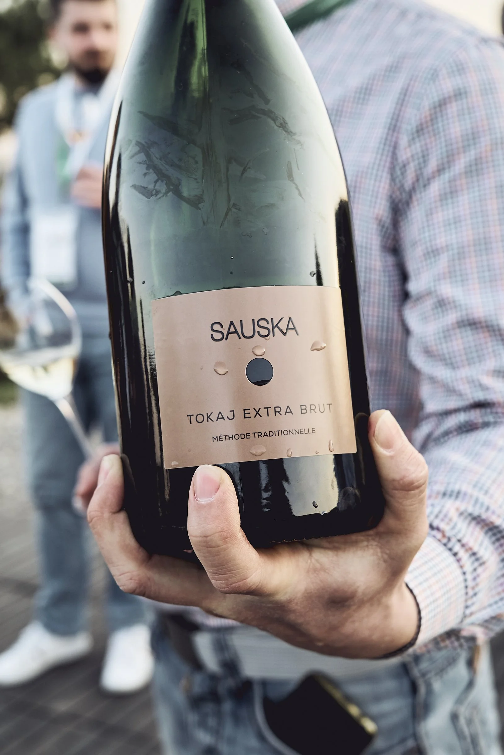 Hungarian wines to try