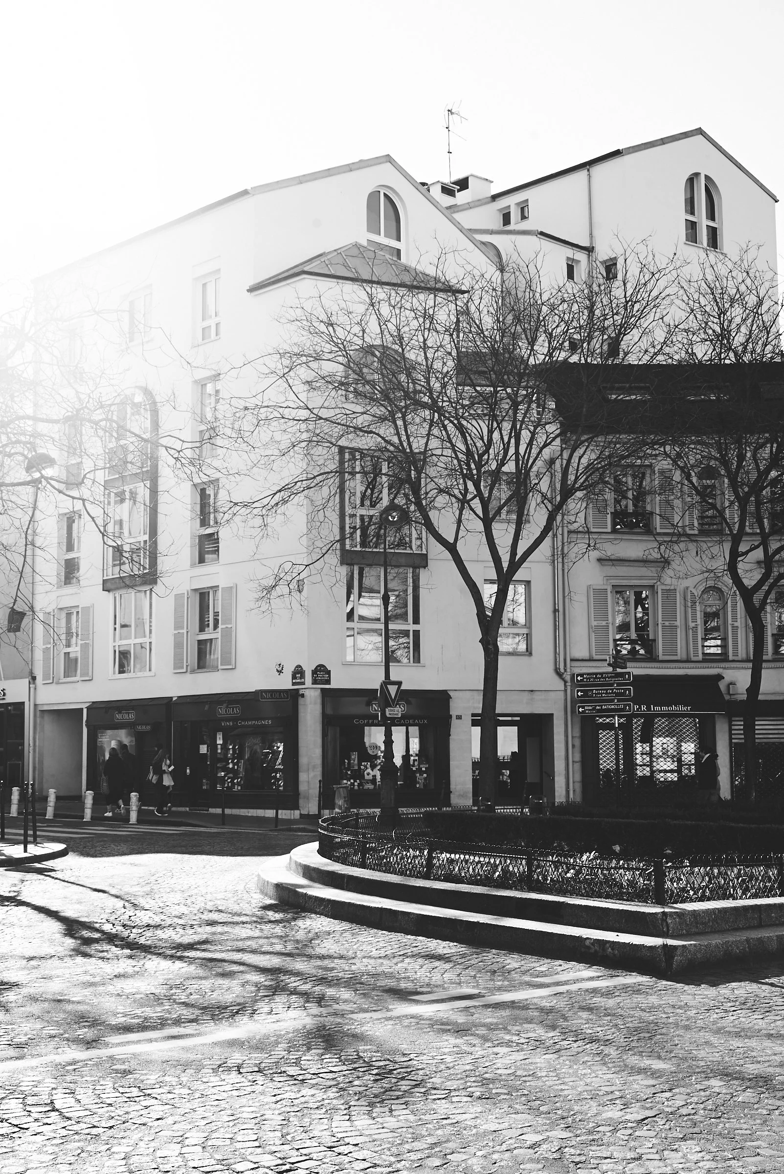 Paris. Black and White