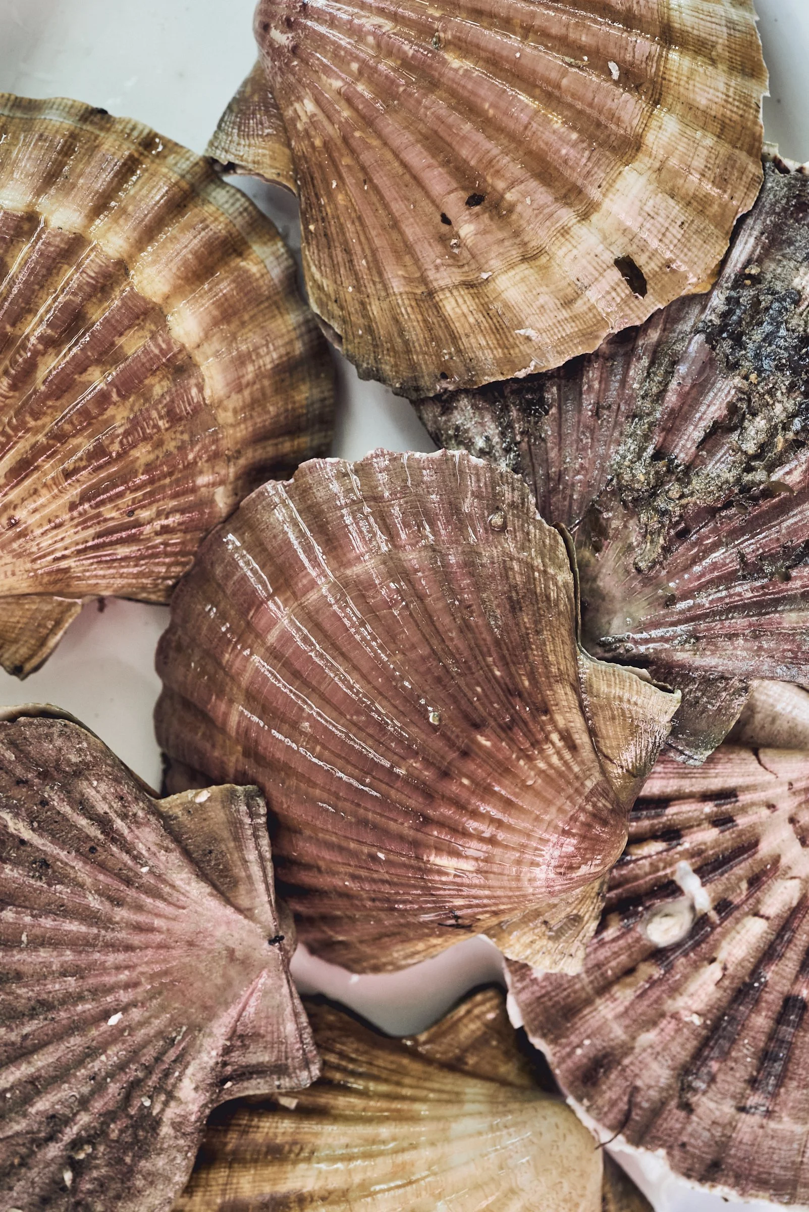 Where I buy my fresh fish. Poiscalle