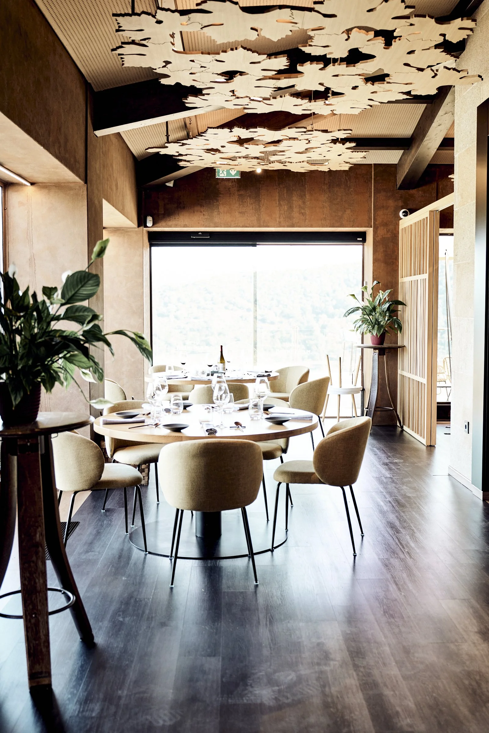 Bodegas Regina Viarum