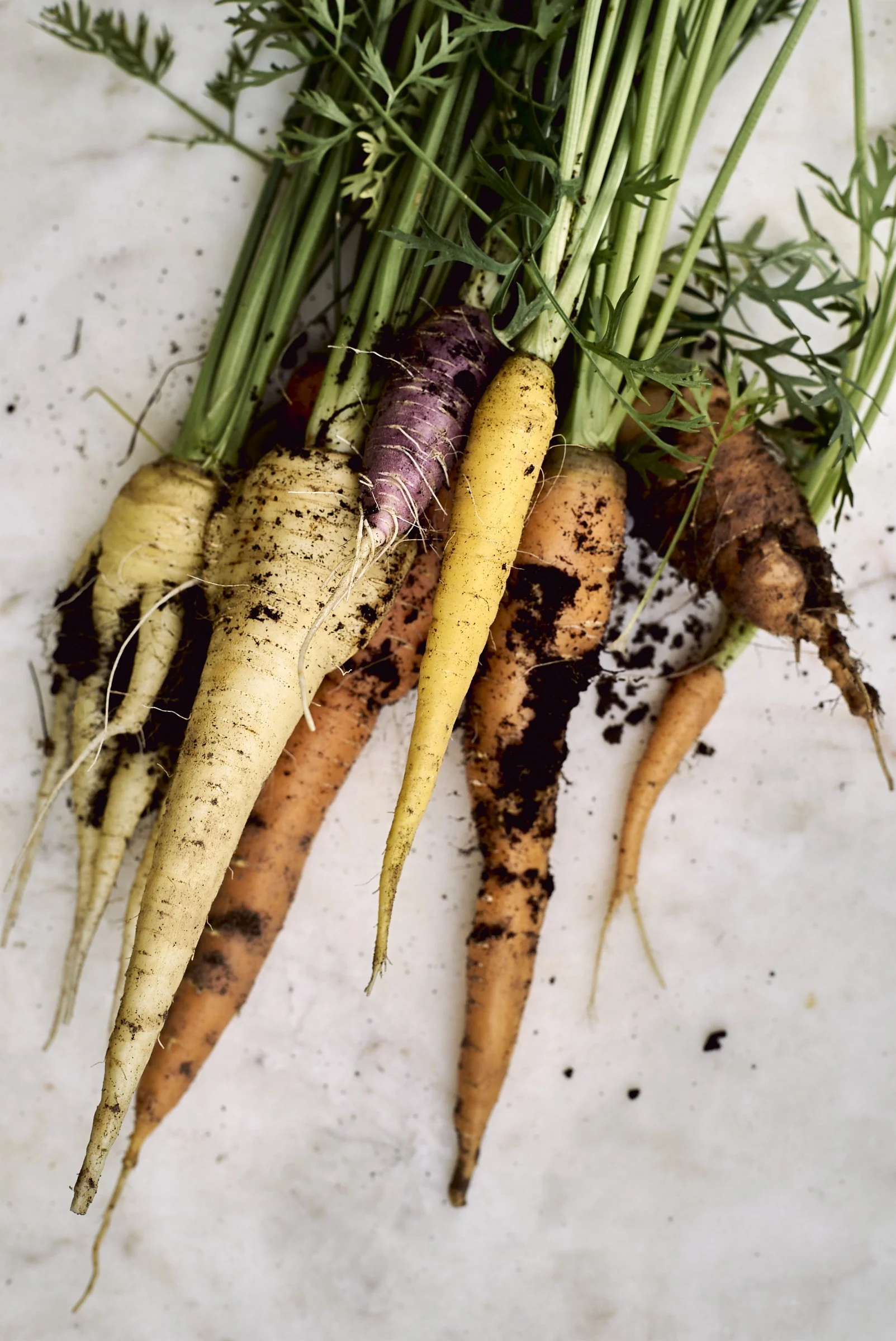 Simple not so simple carrots