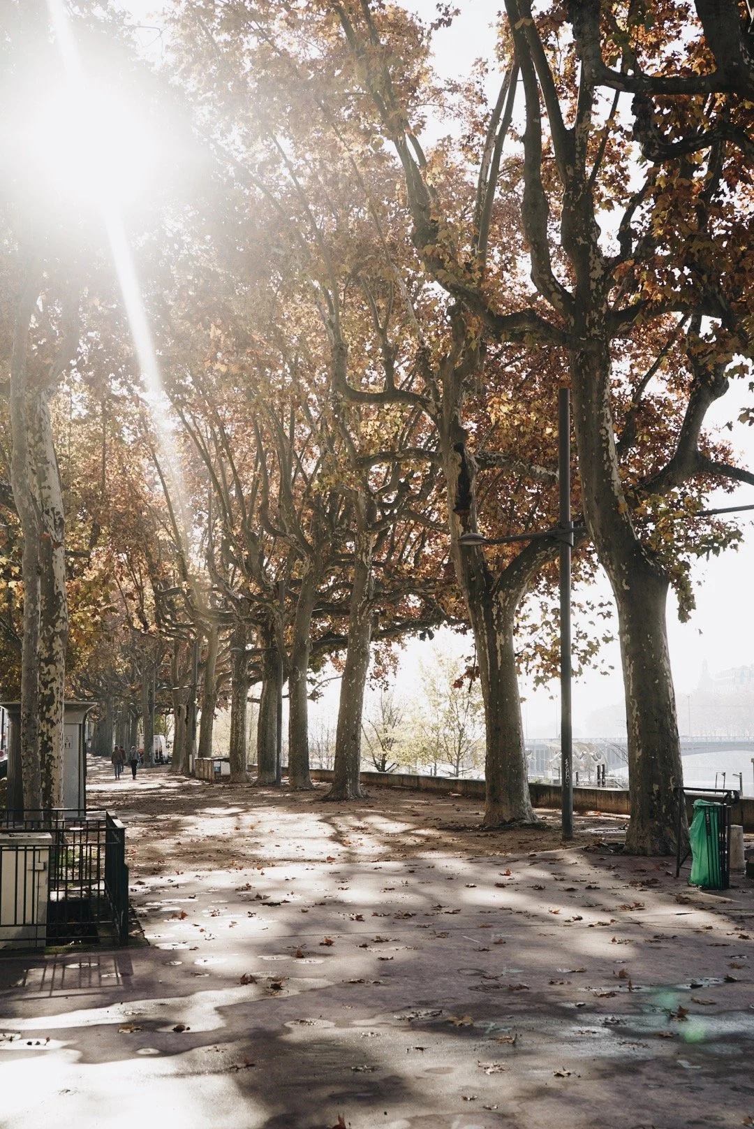 6th arrondissement. lyon