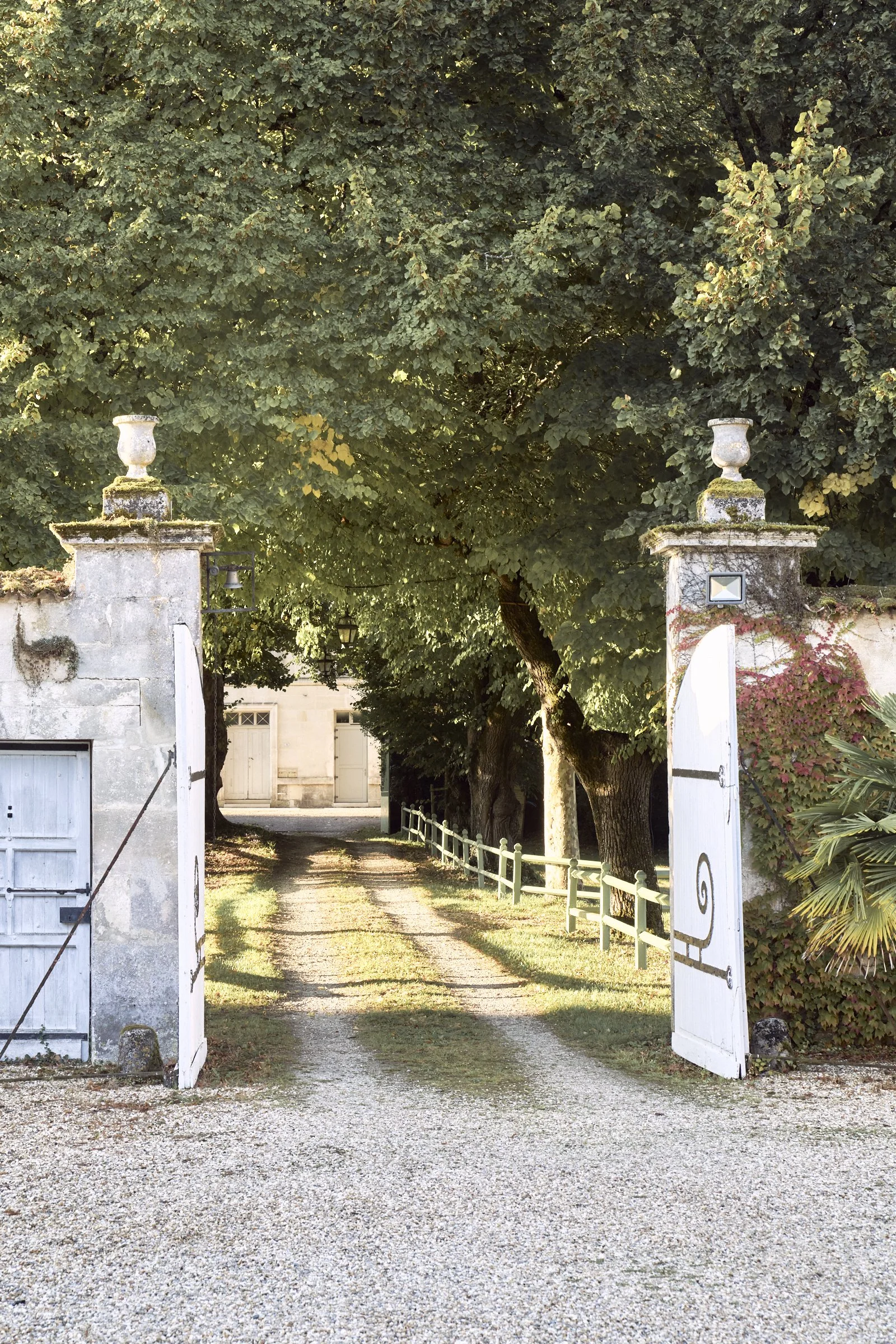 jarnac_sept2025_SL 9.jpg